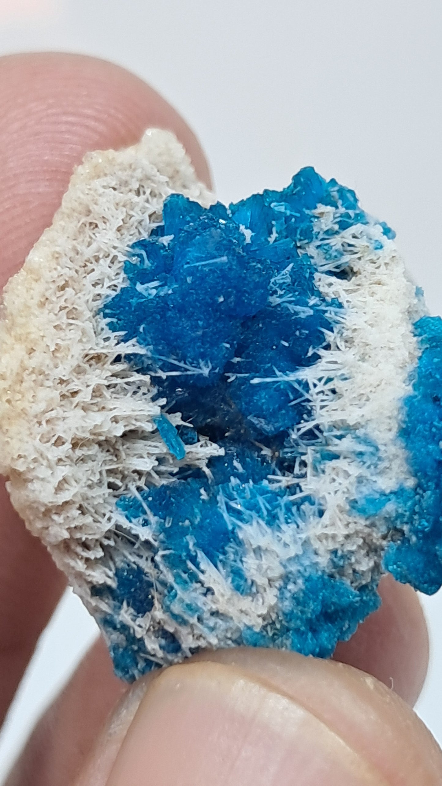 Perfect Cavansite Spheres on Fibrous Stilbite (Wagholi) Rough Stone | Natural Crystal | Rare Mineral Specimen #CV59