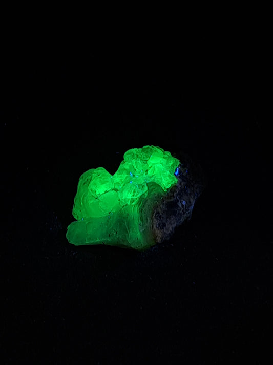 Hyalite Opal on Matrix (Mexico) Rough Crystal Stone | UV-Reactive Mineral Specimen #OH21
