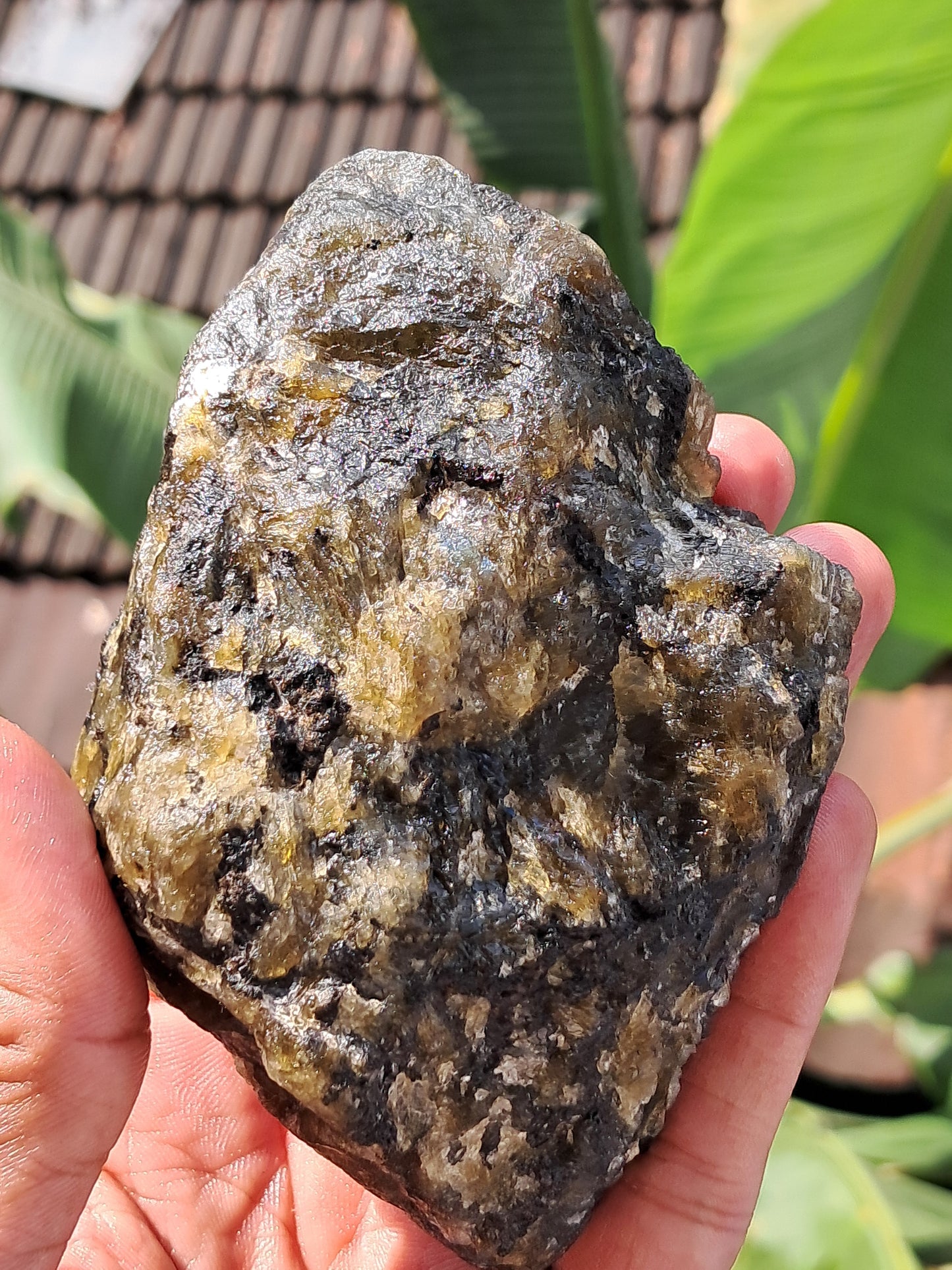 Labradorite Raw (Madagascar) | Strong Flash #LB5