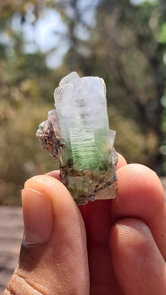 Green Apophyllite (Fluorapophyllite) on Matrix (Ajanta) Natural Crystal | Mineral Specimen #GA27