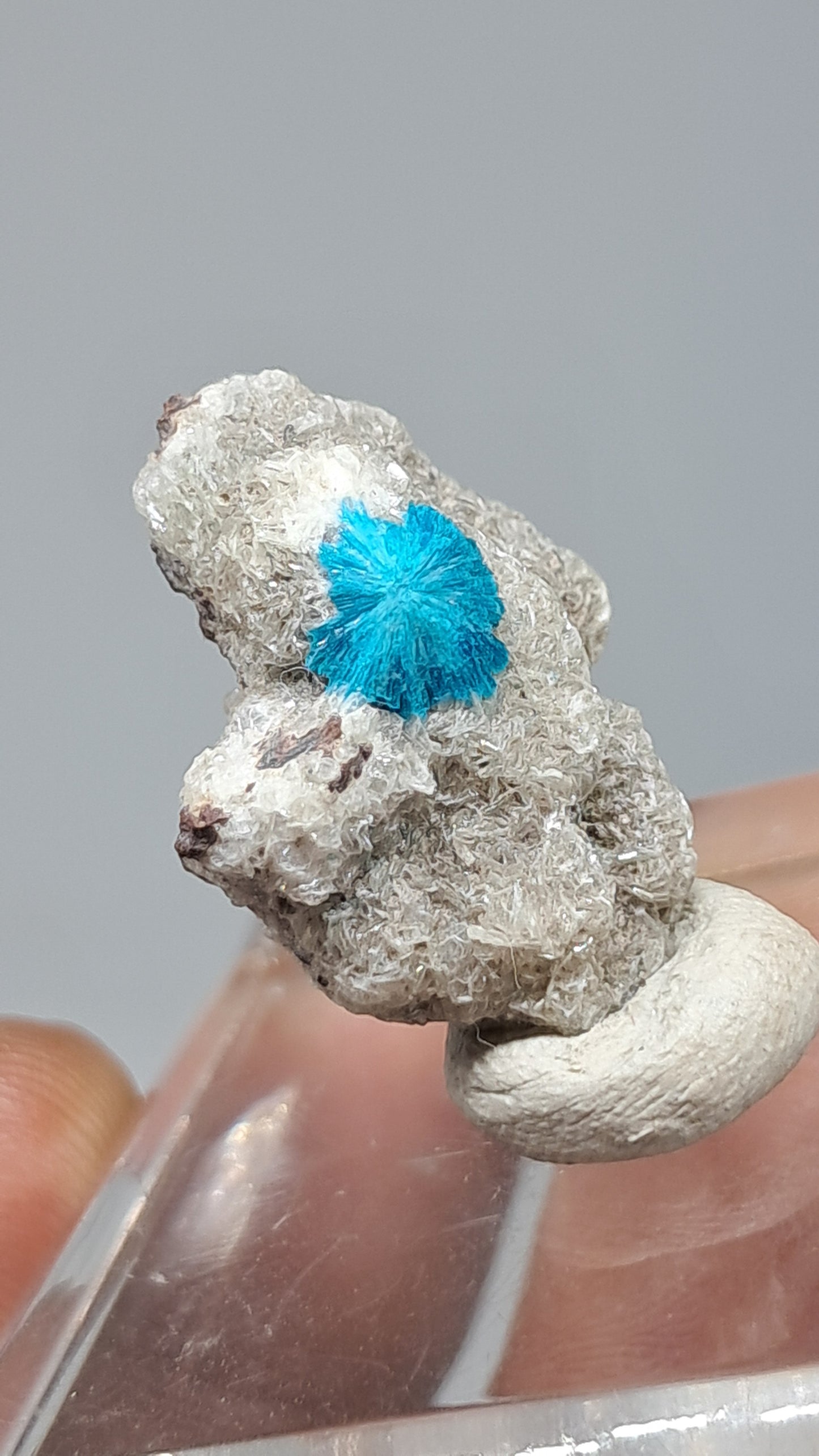 Cavansita en Matriz de Heulandita (Wagholi) Cristal en Bruto | Piedra Natural | Raro Espécimen Mineral #CV69