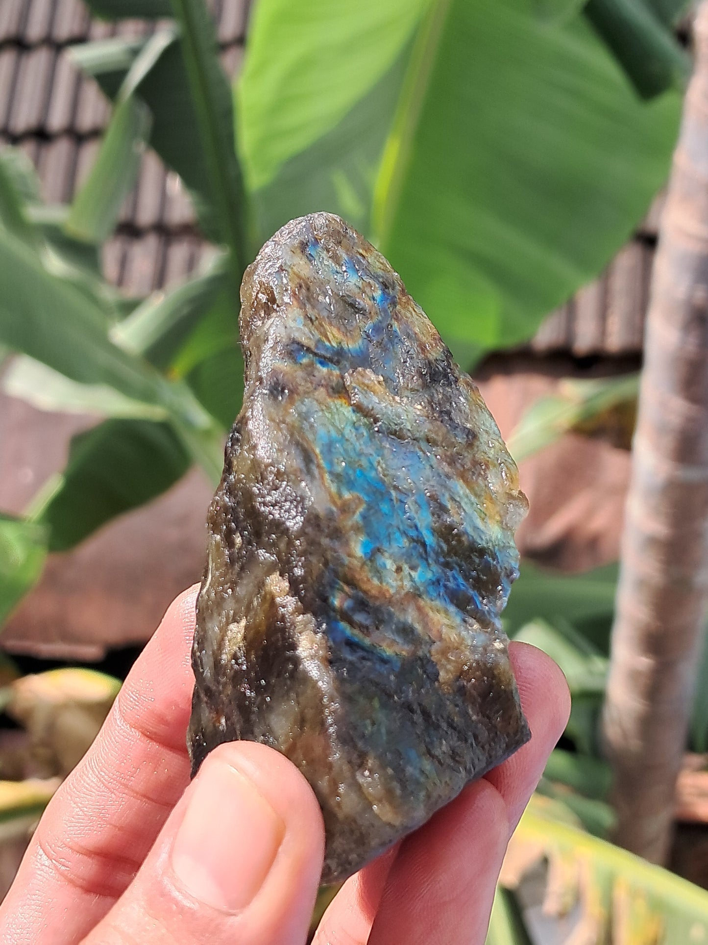 Labradorite Raw (Madagascar) | Strong Flash #LB6