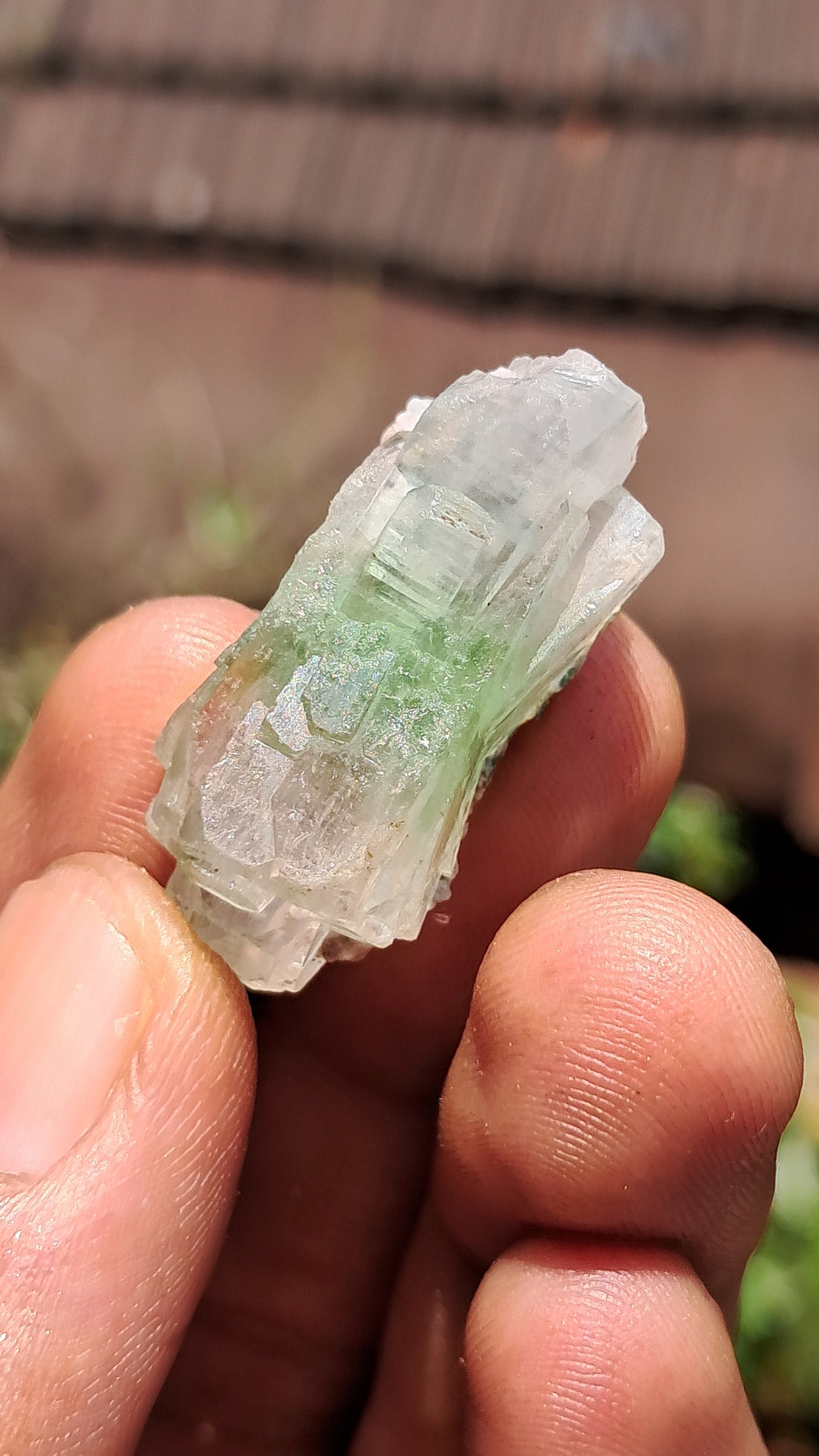 Green Apophyllite (Fluorapophyllite) (Ajanta) Natural Crystal | Mineral Specimen #GA31