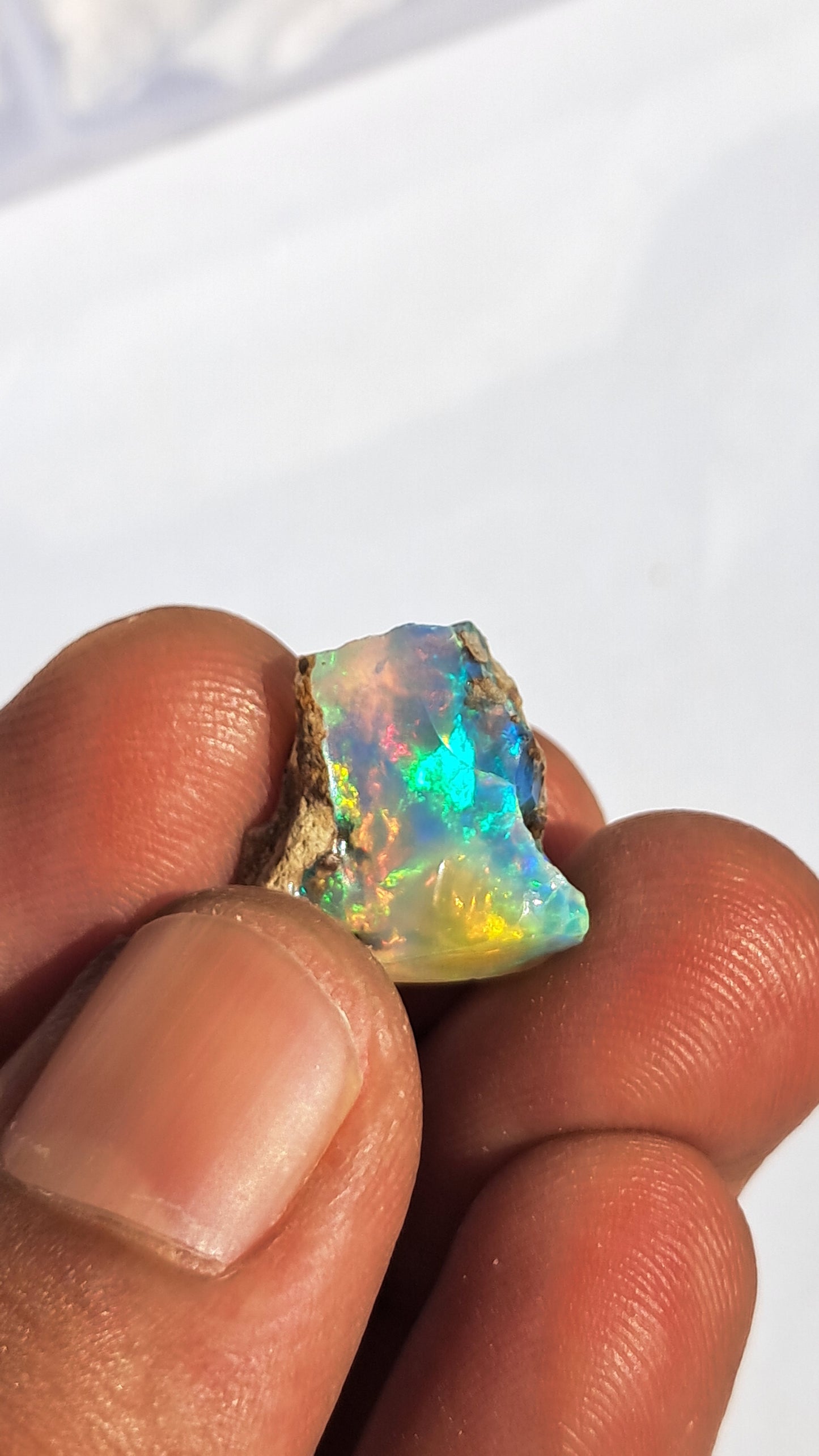 Natural Ethiopian Opal Rough | White Hydrophane Opal with Bright Play of Color #OP15