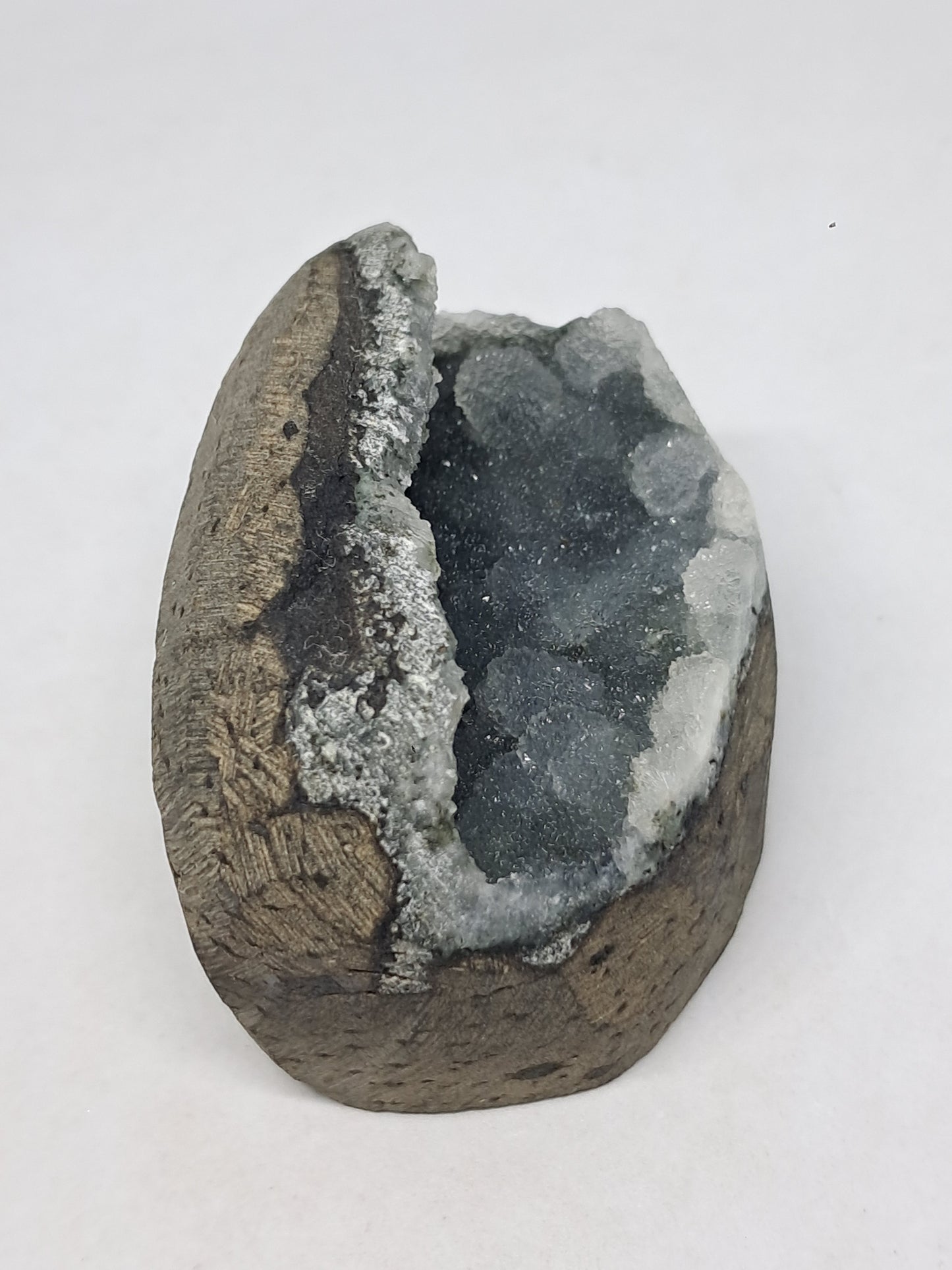 Botryoidal Black Chalcedony in Basalt Geode #BC9