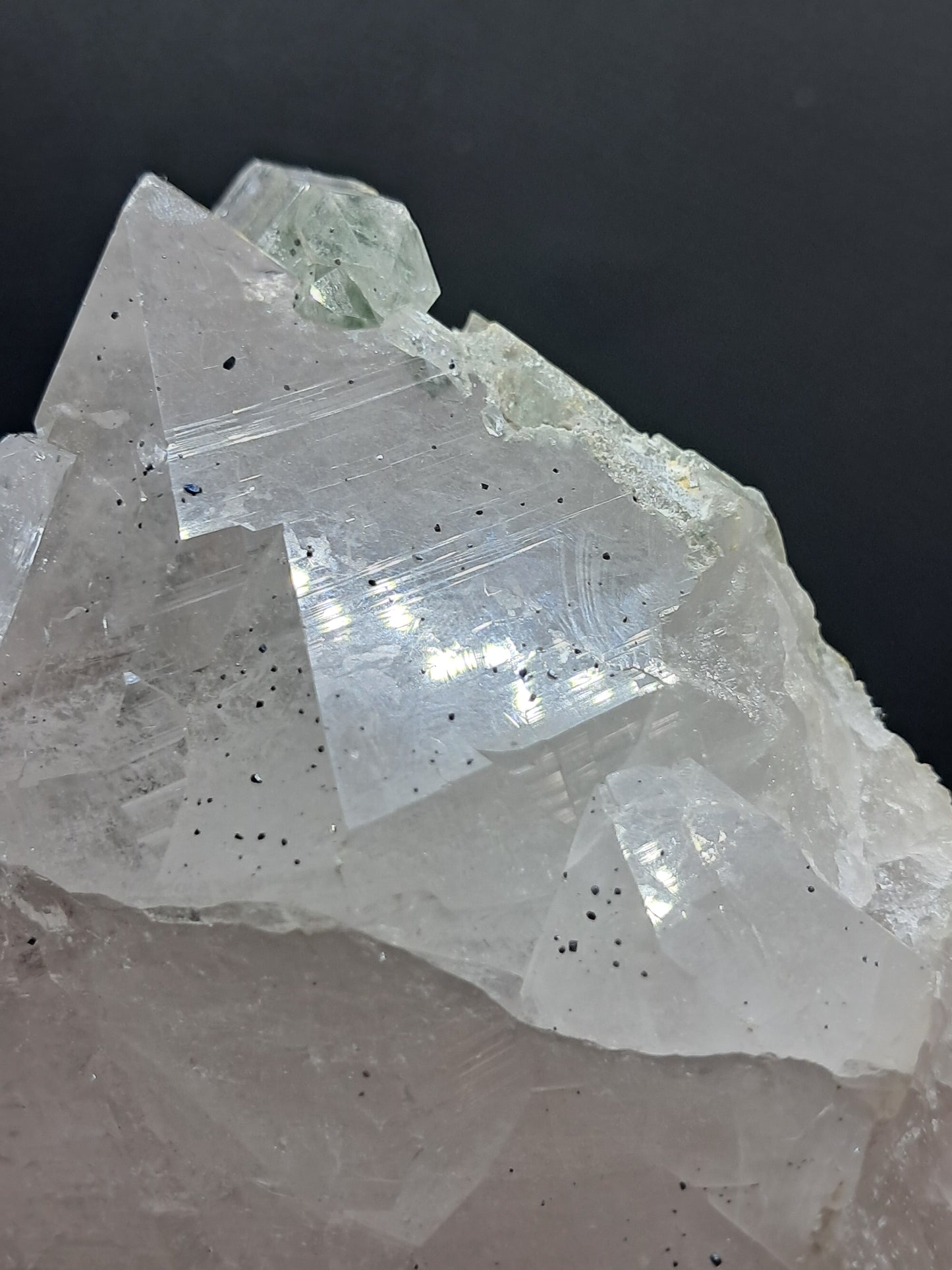 Himalayan Quartz Crystal Point with Magnetite Inclusions XL | High Grade | Natural Stone | Mineral Specimen #CH54