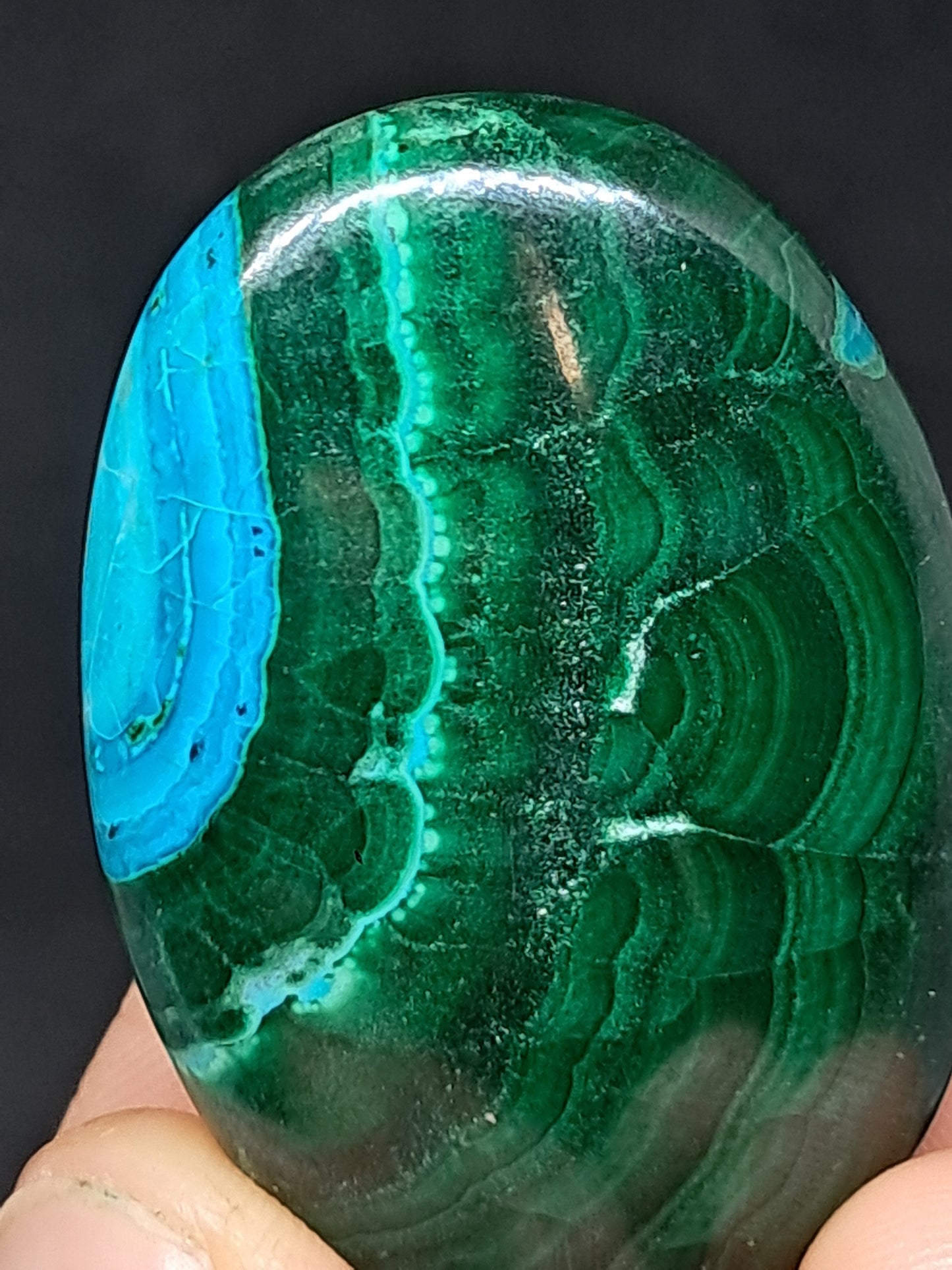 Chrysocolla Malachite Palmstone | Polished Natural Stone | Good Quality #CM25