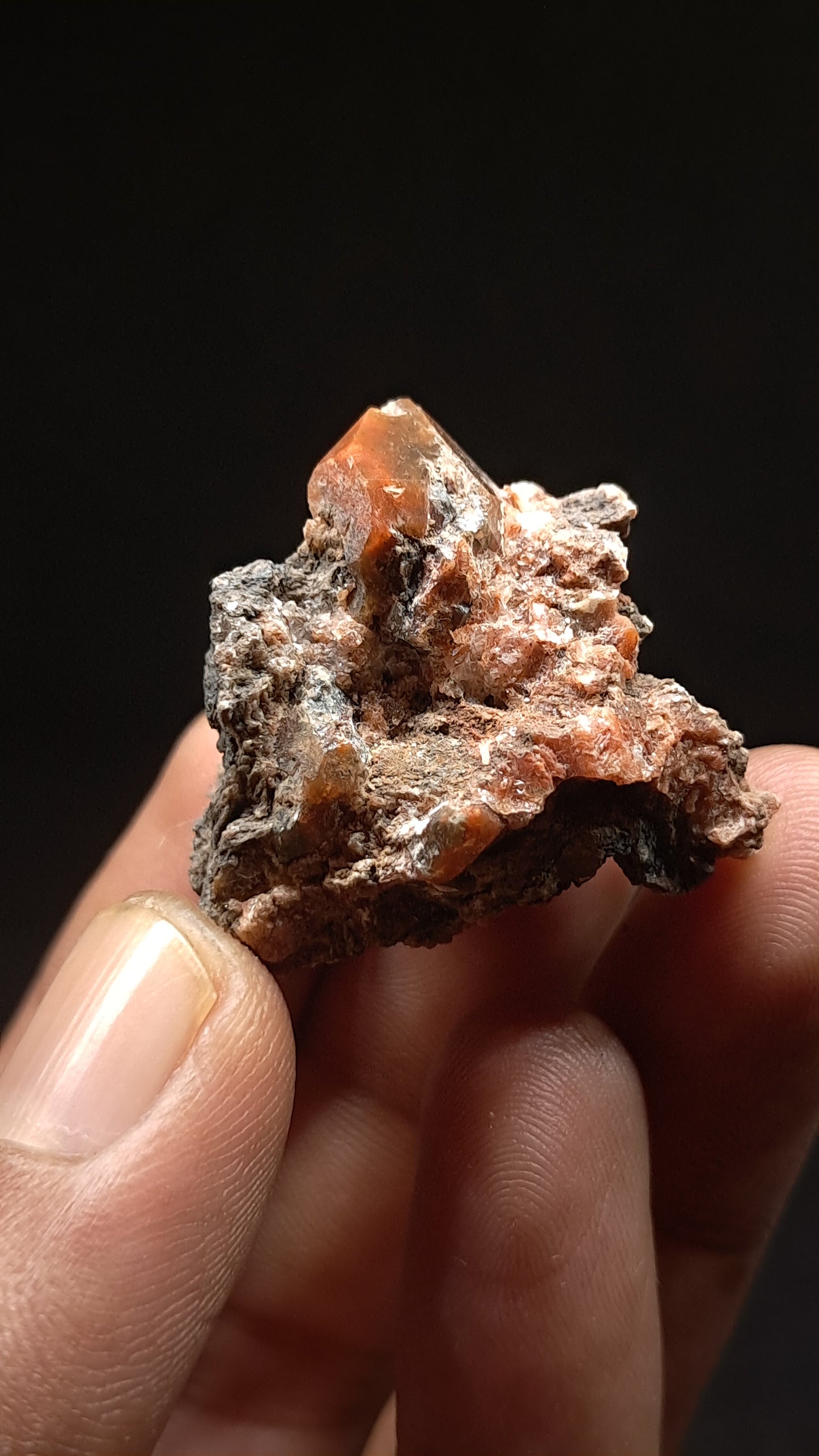 Jacinto de Compostela Quartz On Matrix | Natural Crystal | Mineral Specimen #JCQ3