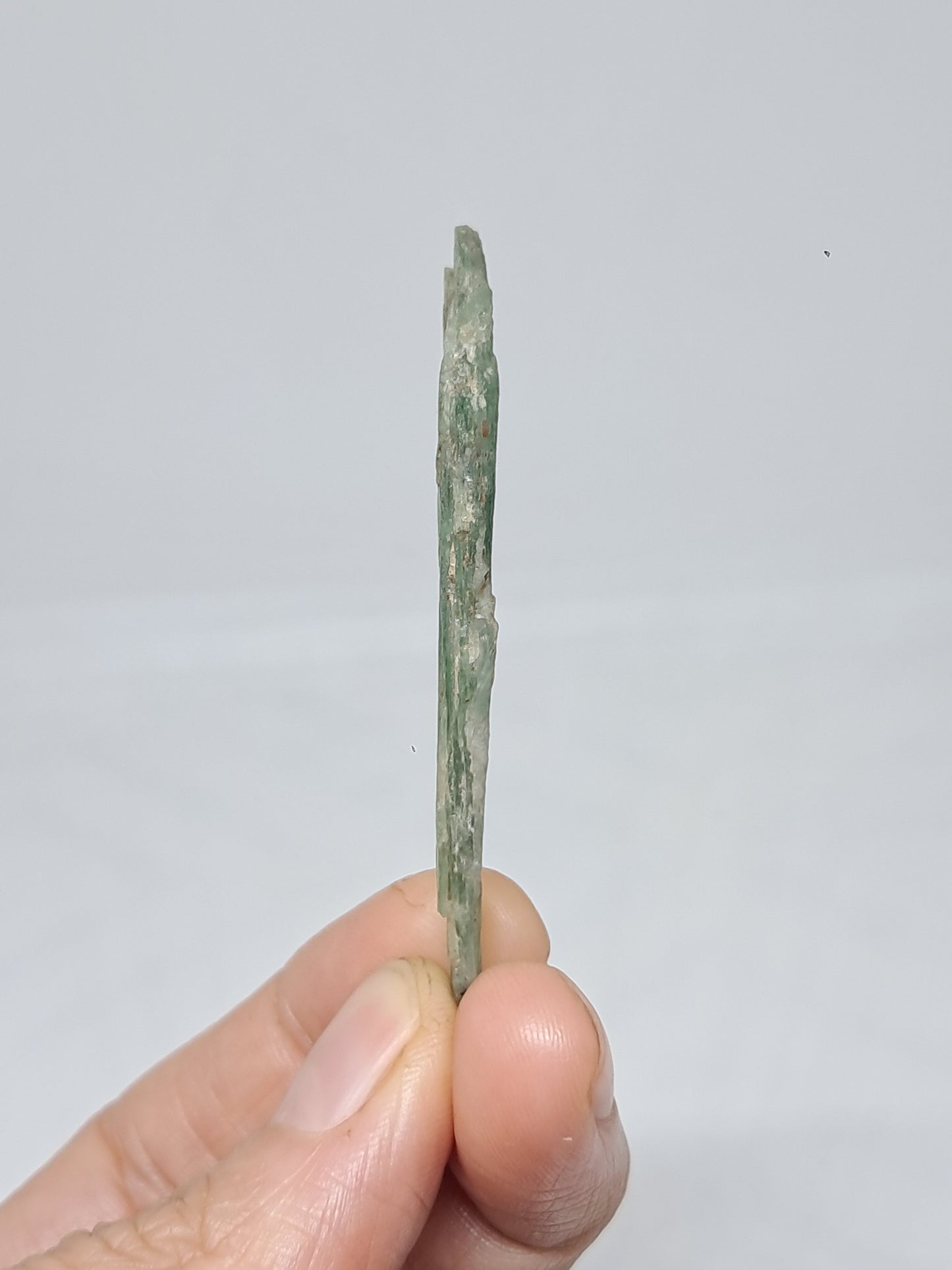 Green Kyanite (Tamil Nadu) Natural Crystal #KY9