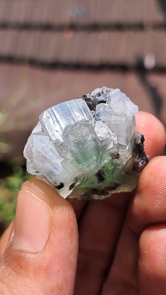 Green Apophyllite (Fluorapophyllite) (Ajanta) Natural Crystal | Mineral Specimen #GA28