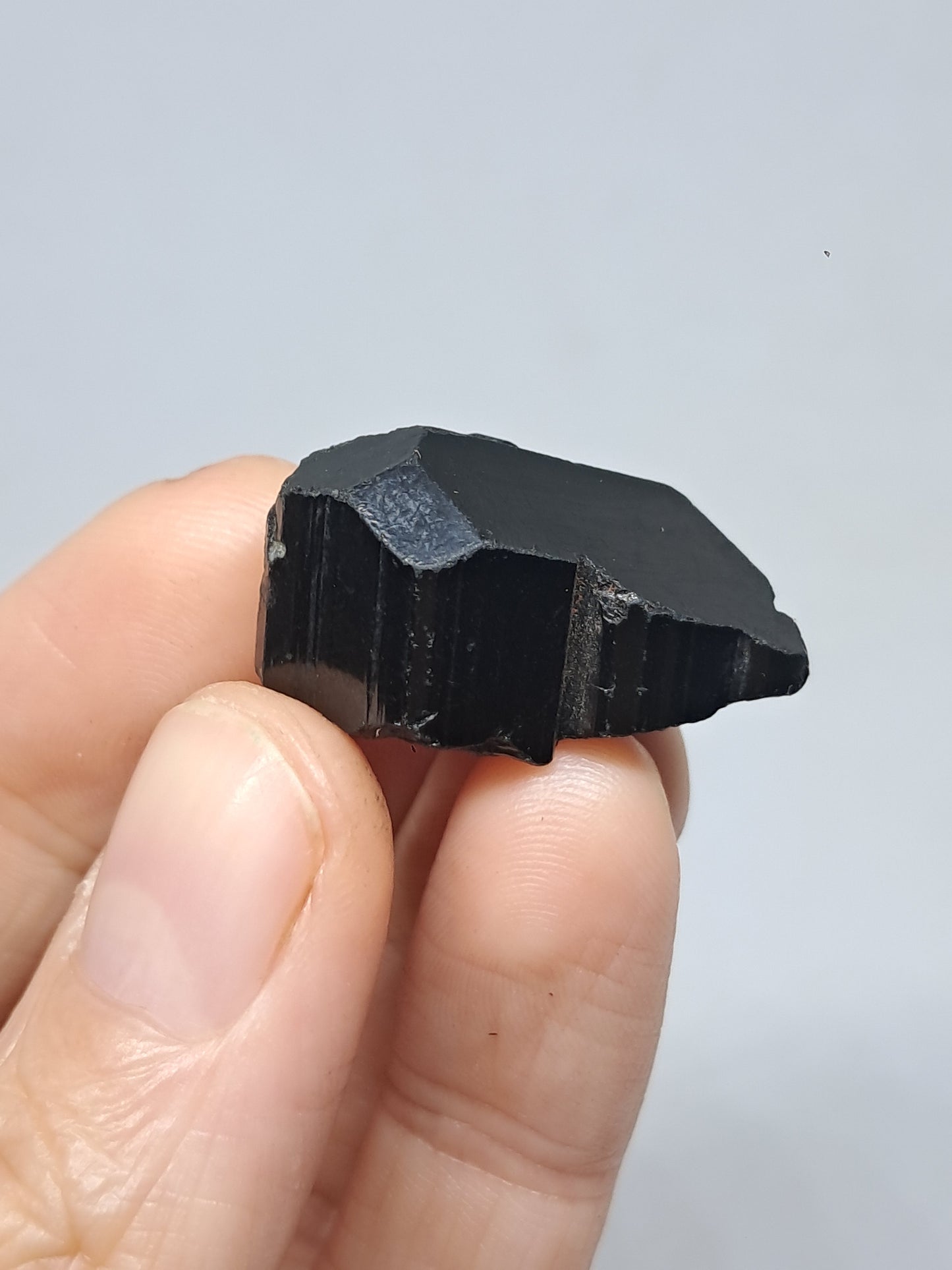 Black Tourmaline Crystal (Karnataka) Naturally Terminated | Natural Stone | Mineral Specimen #BT7