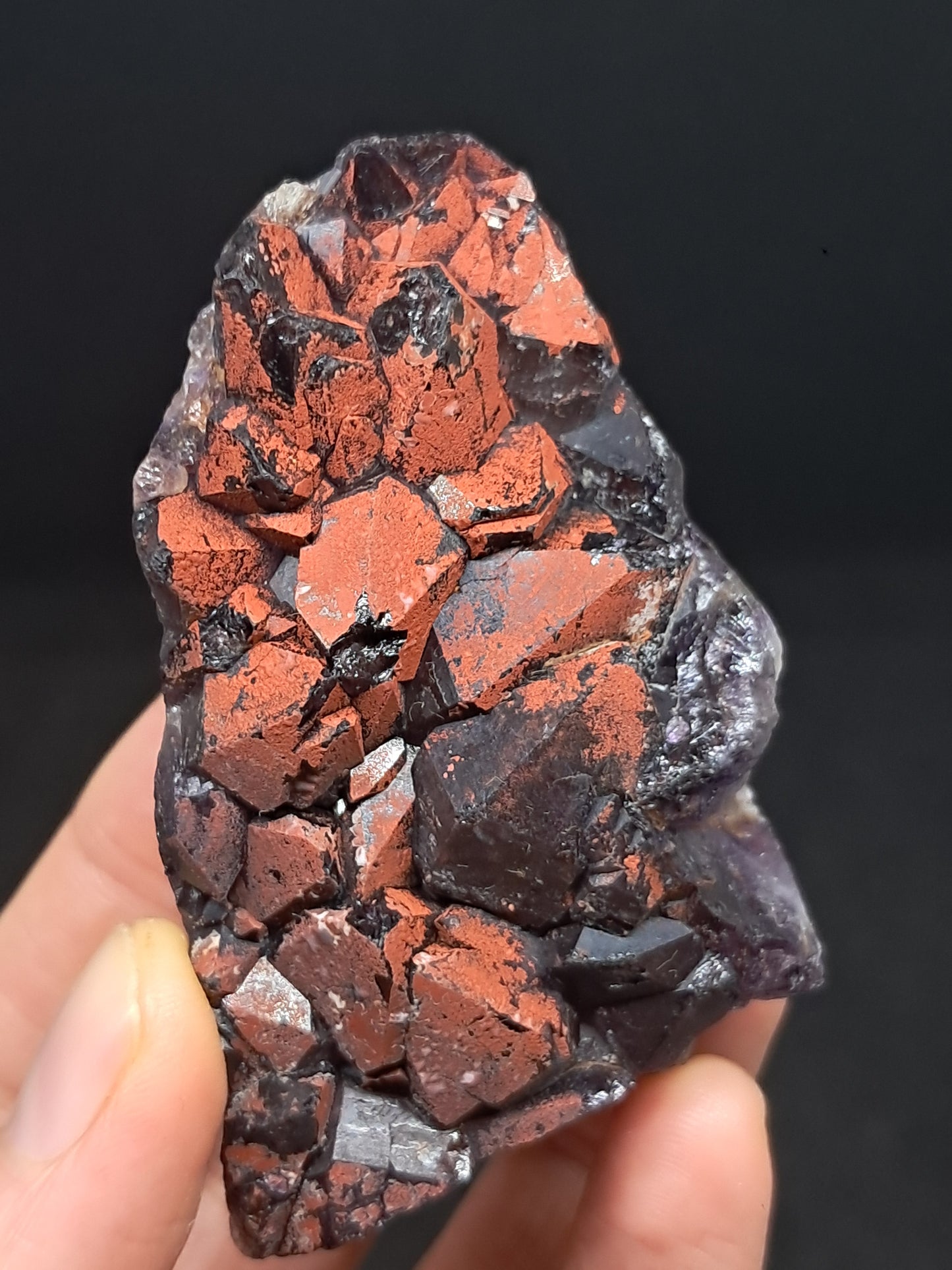 Amethyst w/ Hematite Cluster (Madhya Pradesh) | Mineral Specimen | Natural Stone #AM6