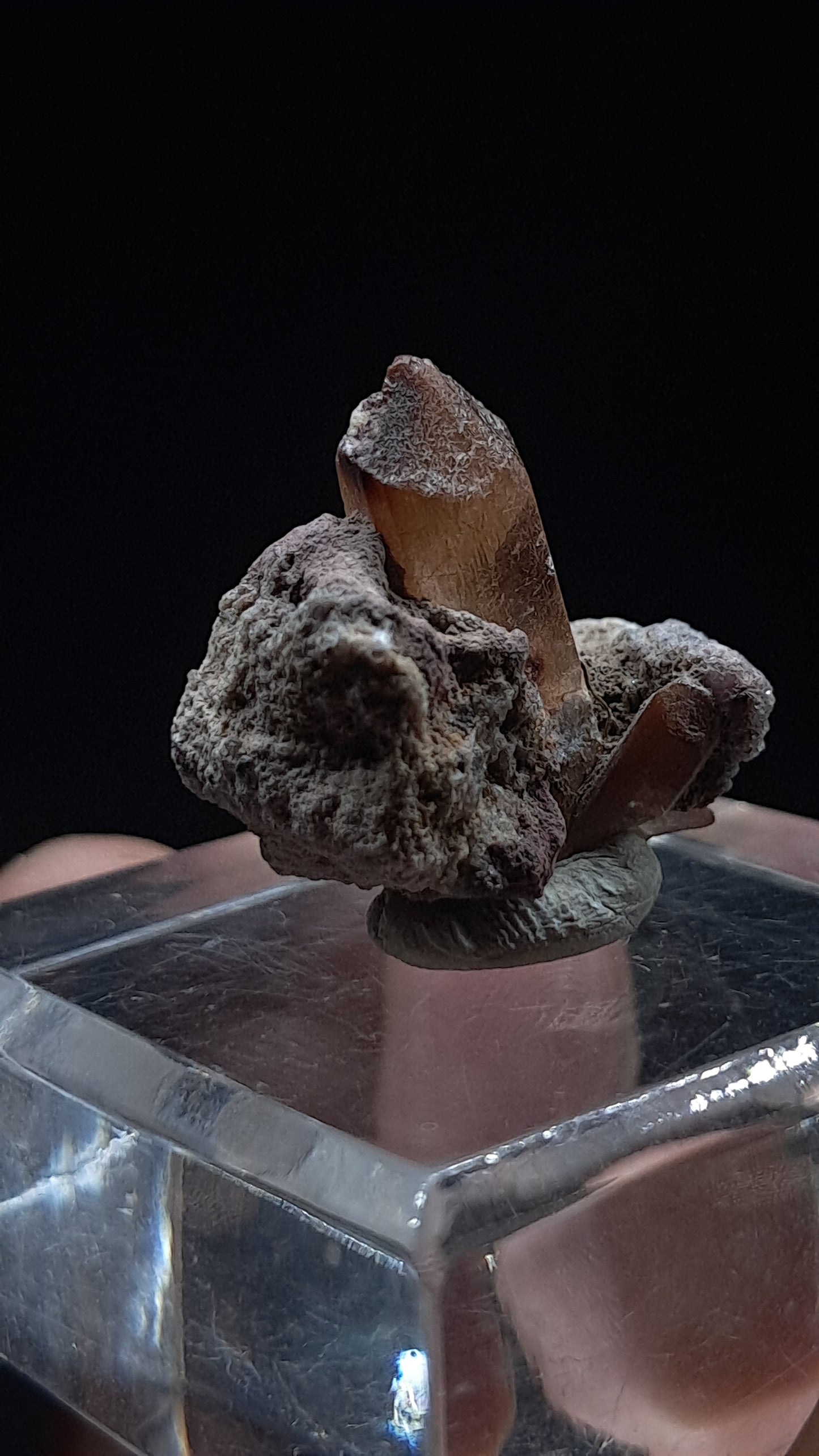 Natural Topaz Crystal In Matrix (Mexico) Champagne Colour | Rare Gemstone | Mineral Specimen #TPZ39