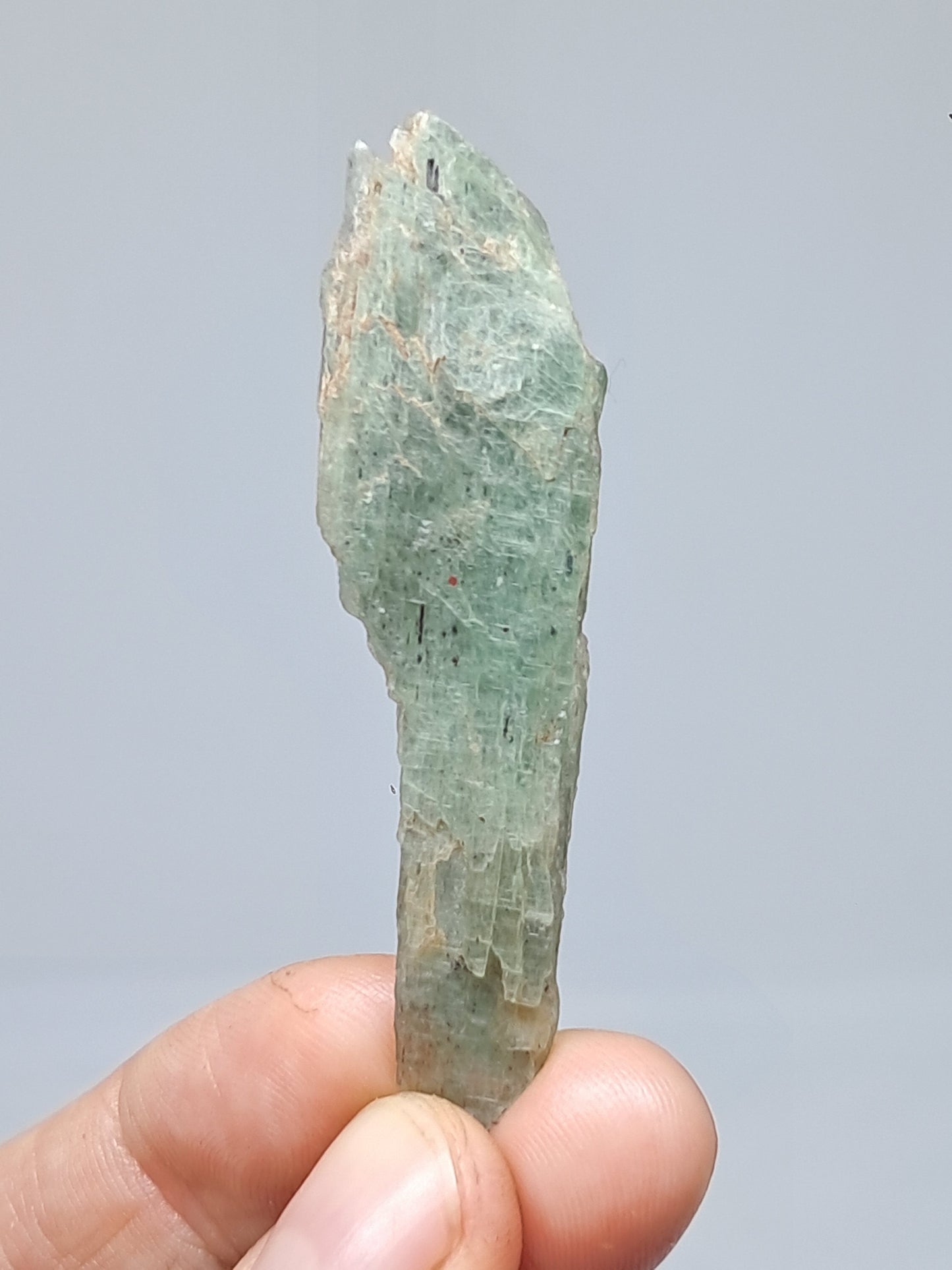 Green Kyanite (Tamil Nadu) Natural Crystal #KY9