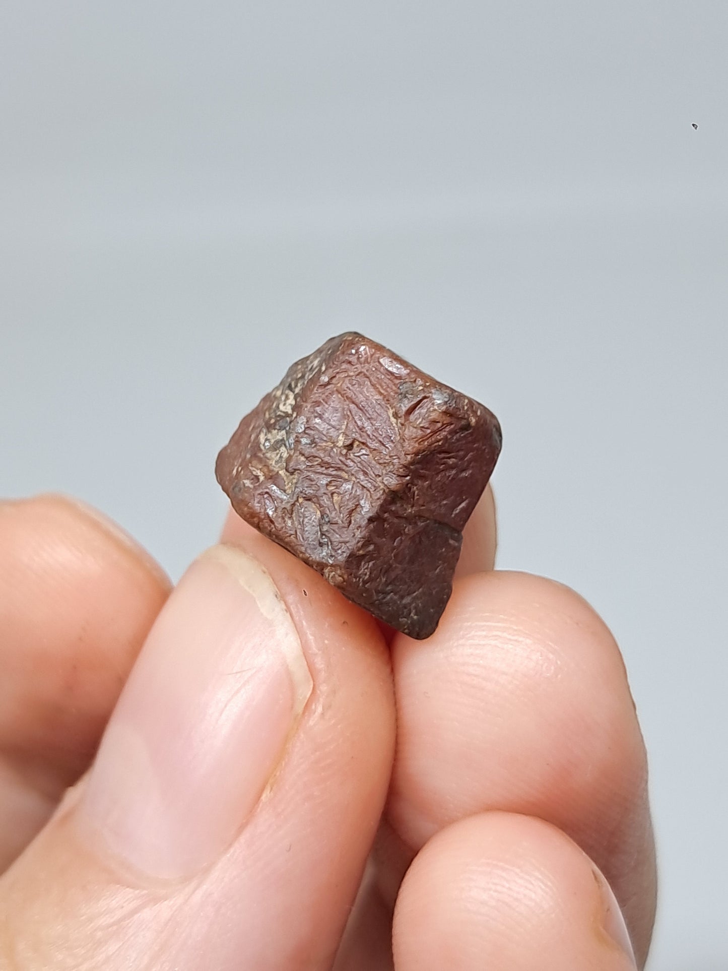 Rough Ruby Crystal w/ Record Keeper (Tamil Nadu) Natural Stone | Mineral Specimen #RB17