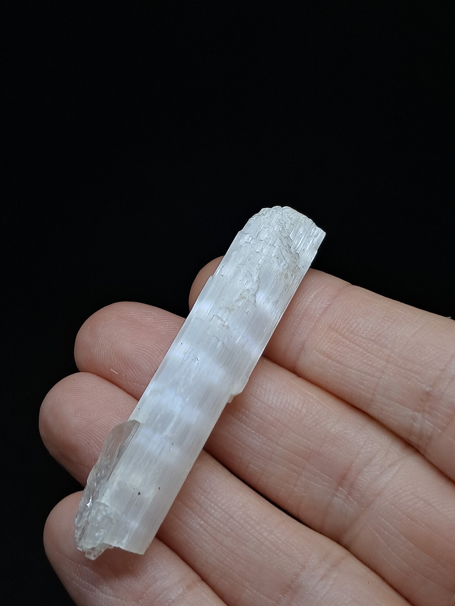 Satin Spar *Selenite* (India) Fibrous Gypsum | Mineral Specimen | Rough Crystal #SE7