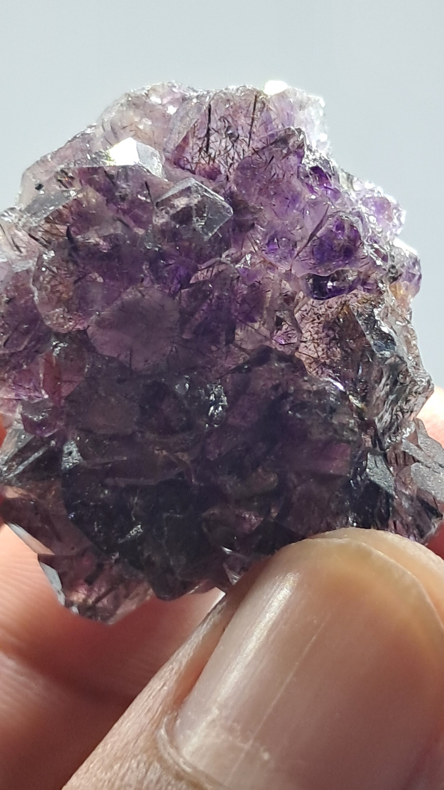Amatista Elestial Morada Oscura sobre Cuarzo | Inclusiones de Hematita Goethita Rutilo | Cristal Natural | Muestra Mineral #KA194
