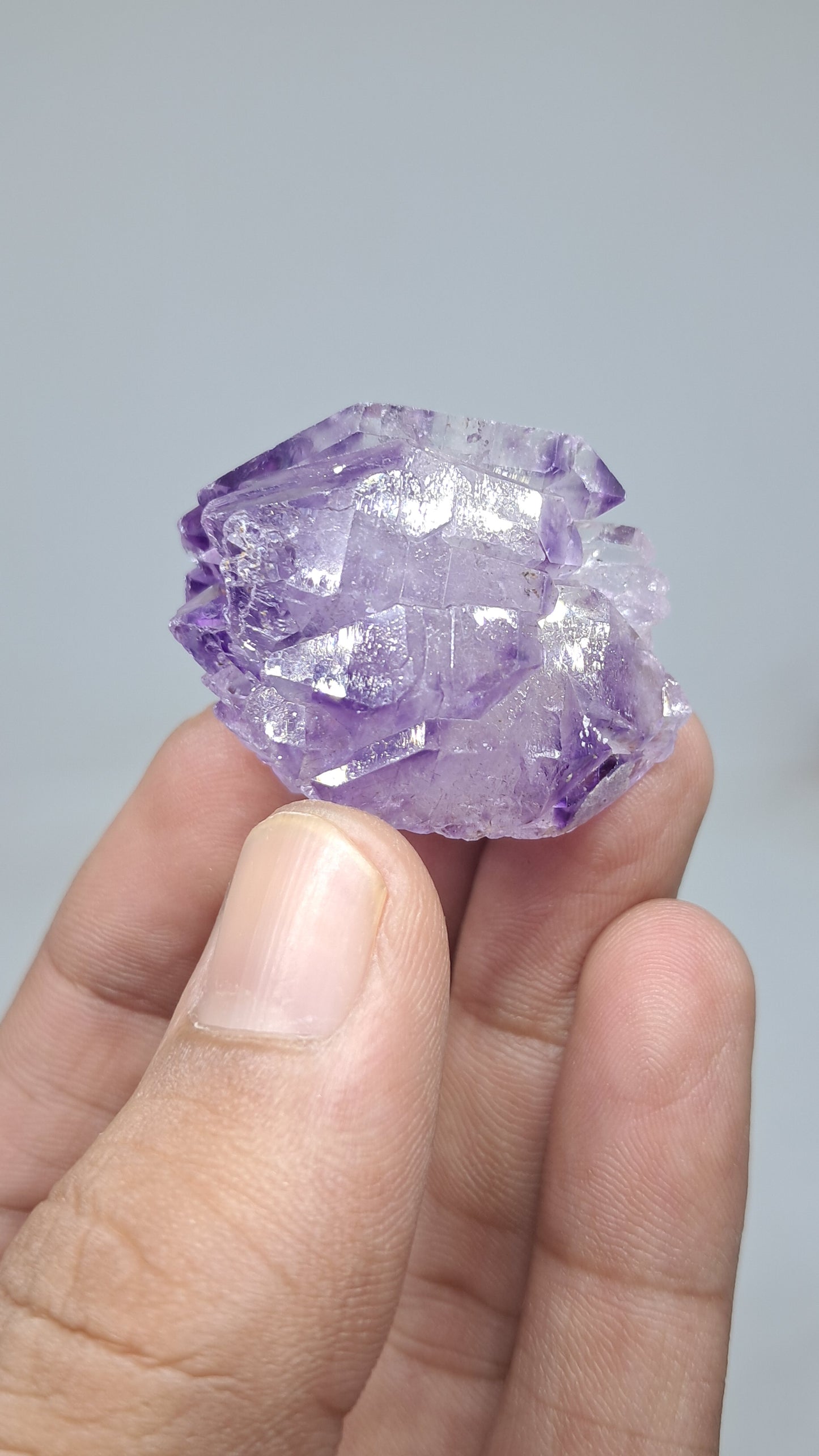 Racimo de Cetros de Amatista | Formación Elestial | Cristal Natural | Muestra Mineral #KA191