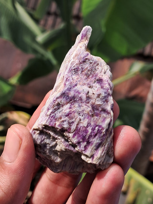 Kammererite on Clinochlore (Ural Mountains, Russia) | Rare Stone #KM3