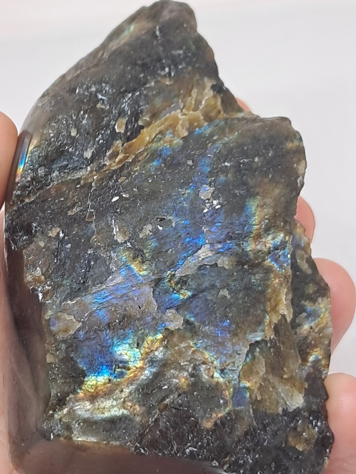 Labradorita | Cristal natural | Piedra semipulida y semipulida | Azul, amarillo y morado | Buena iridiscencia #LB2