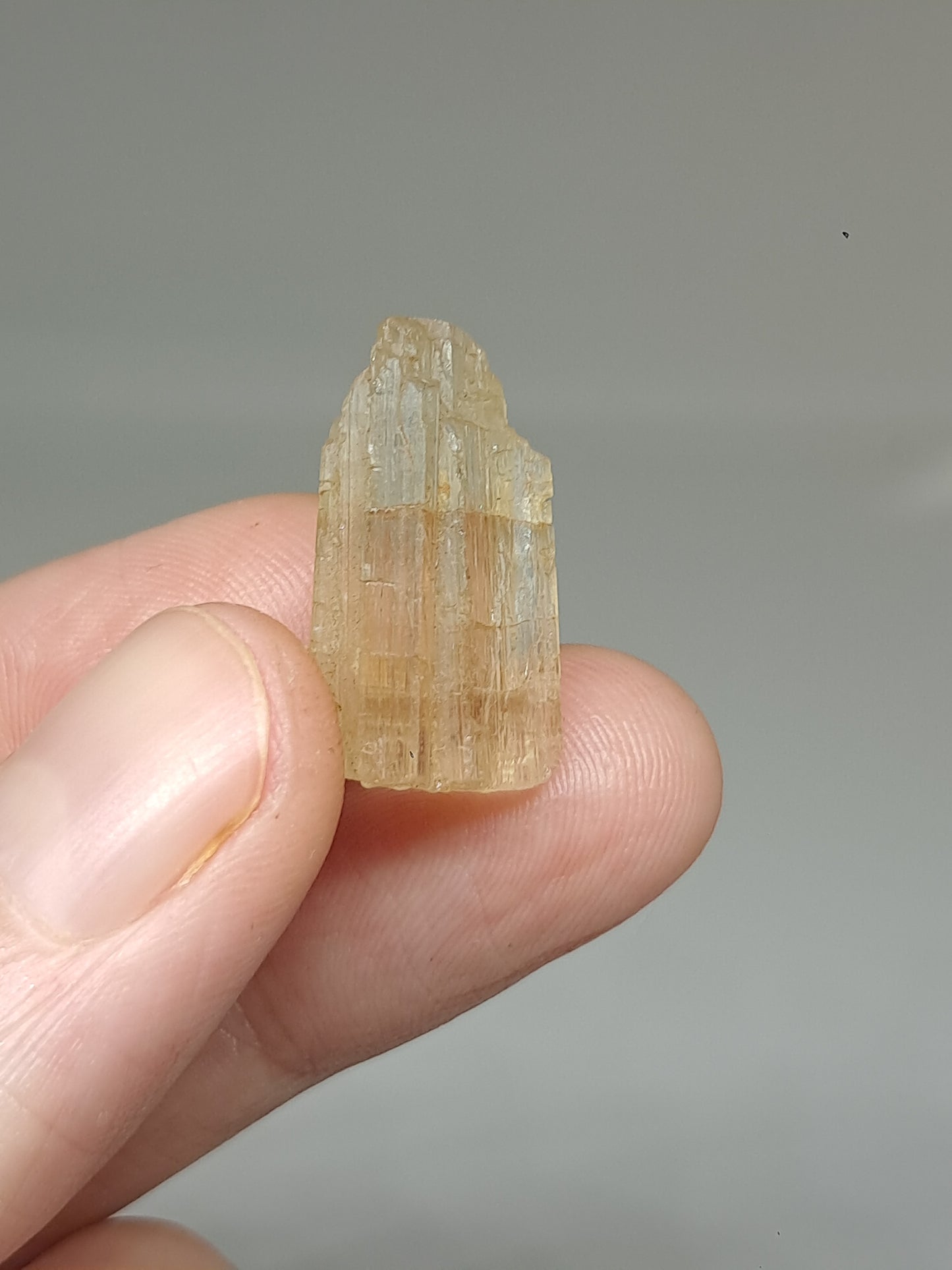 Fluorescent Scapolite Crystal (Karur) UV Reactive | Natural Stone | Mineral Specimen #SCP12