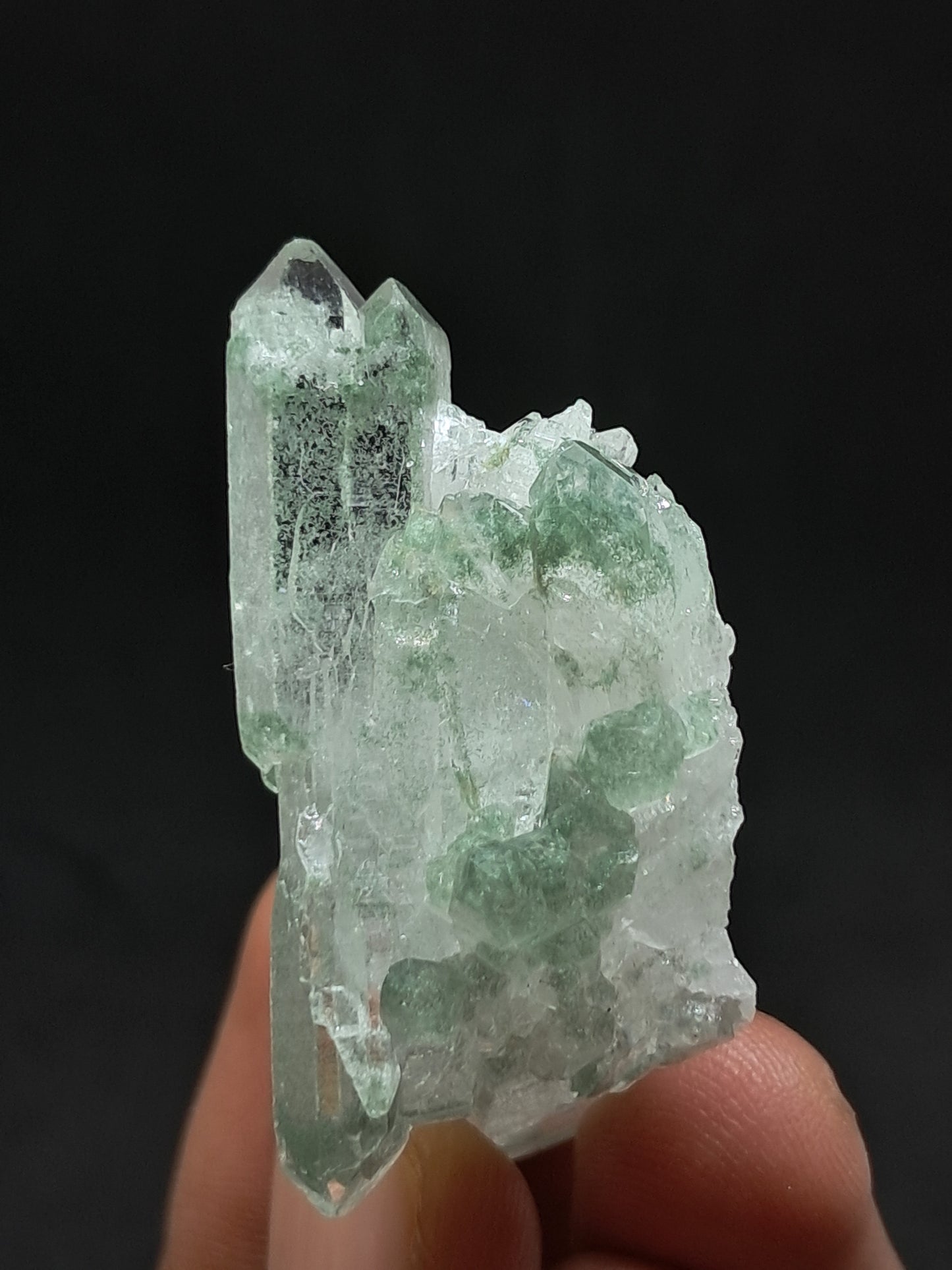 Himalayan Quartz Chlorite Phantom Cluster | Biterminated Crystals | #CH59