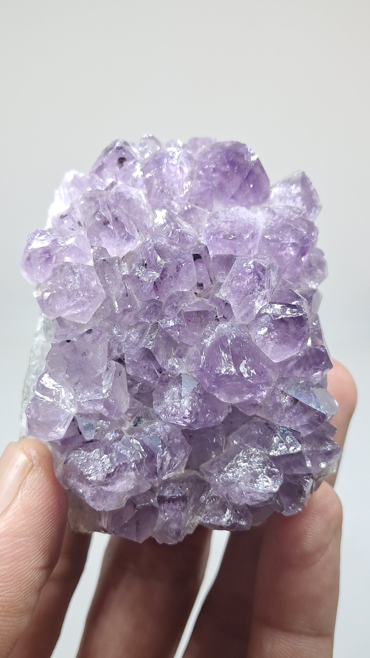 Amatista Morada Intensa (Brasil) | Drusa Natural | Mineral de Colección #AMB9
