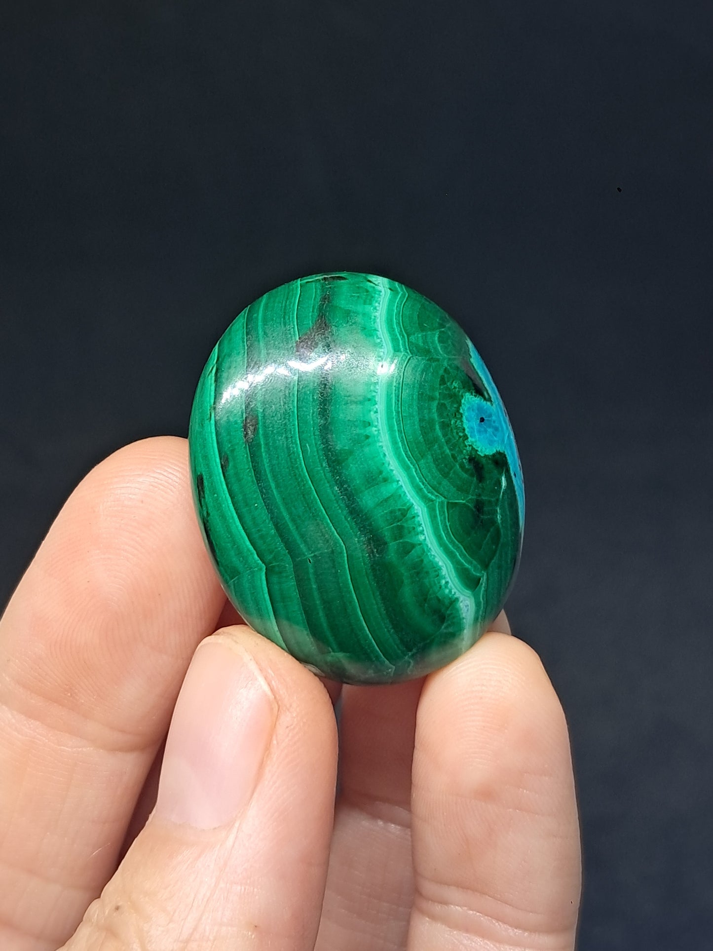 Chrysocolla w/ Malachite Palmstone | Good Quality Natural Stone