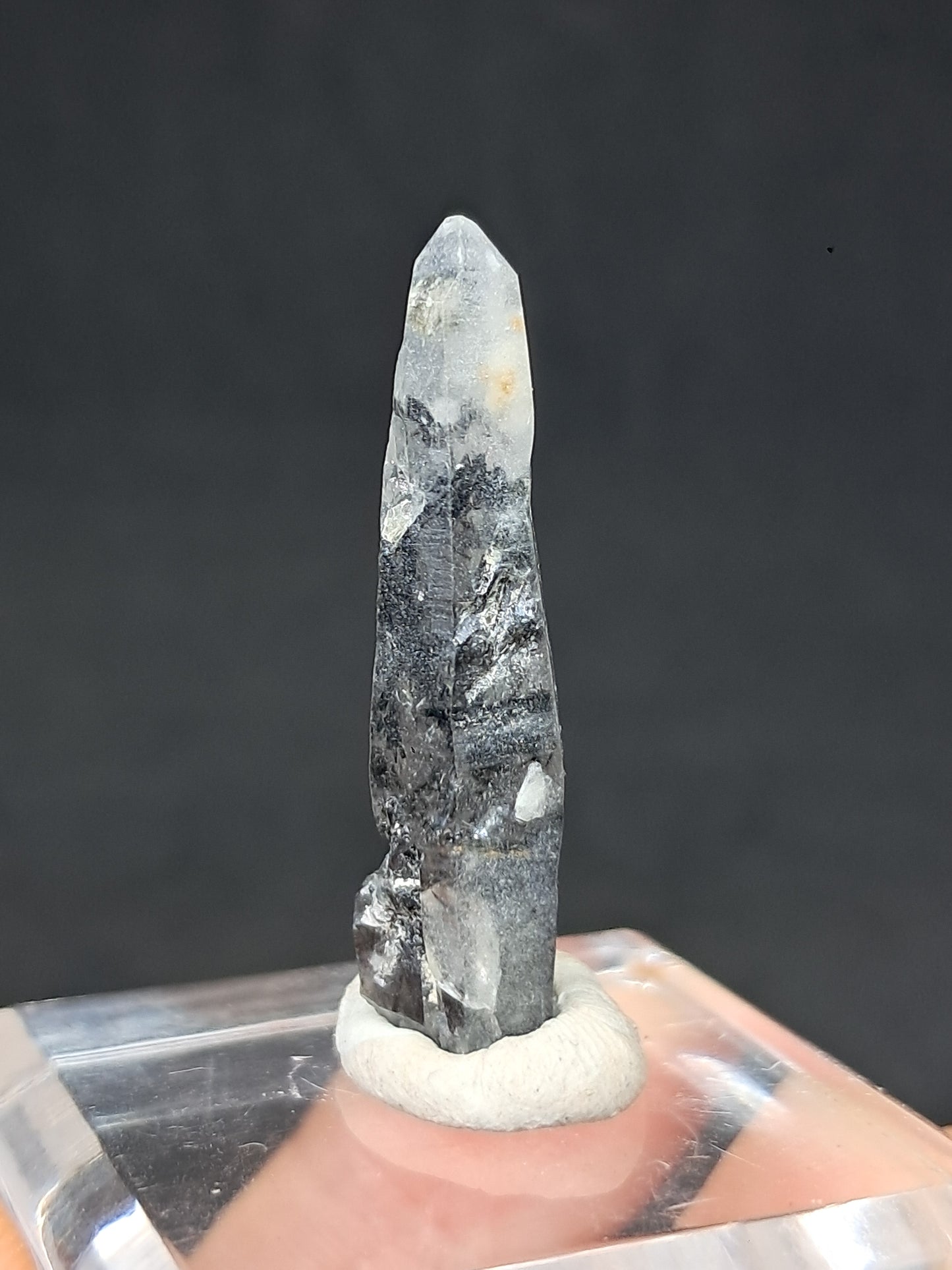 Punta de cuarzo turmalinado (Karur) Cristal natural | Muestra mineral #TQ33