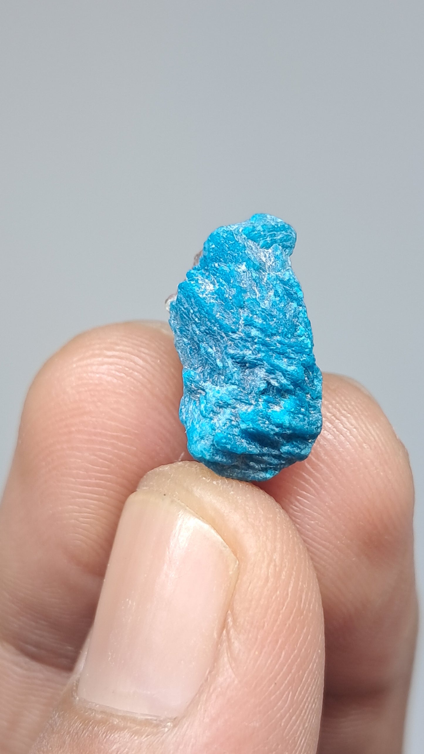 Cavansita sobre matriz (Wagholi) Cristal en bruto | Piedra natural | Ejemplar de mineral raro #CV64