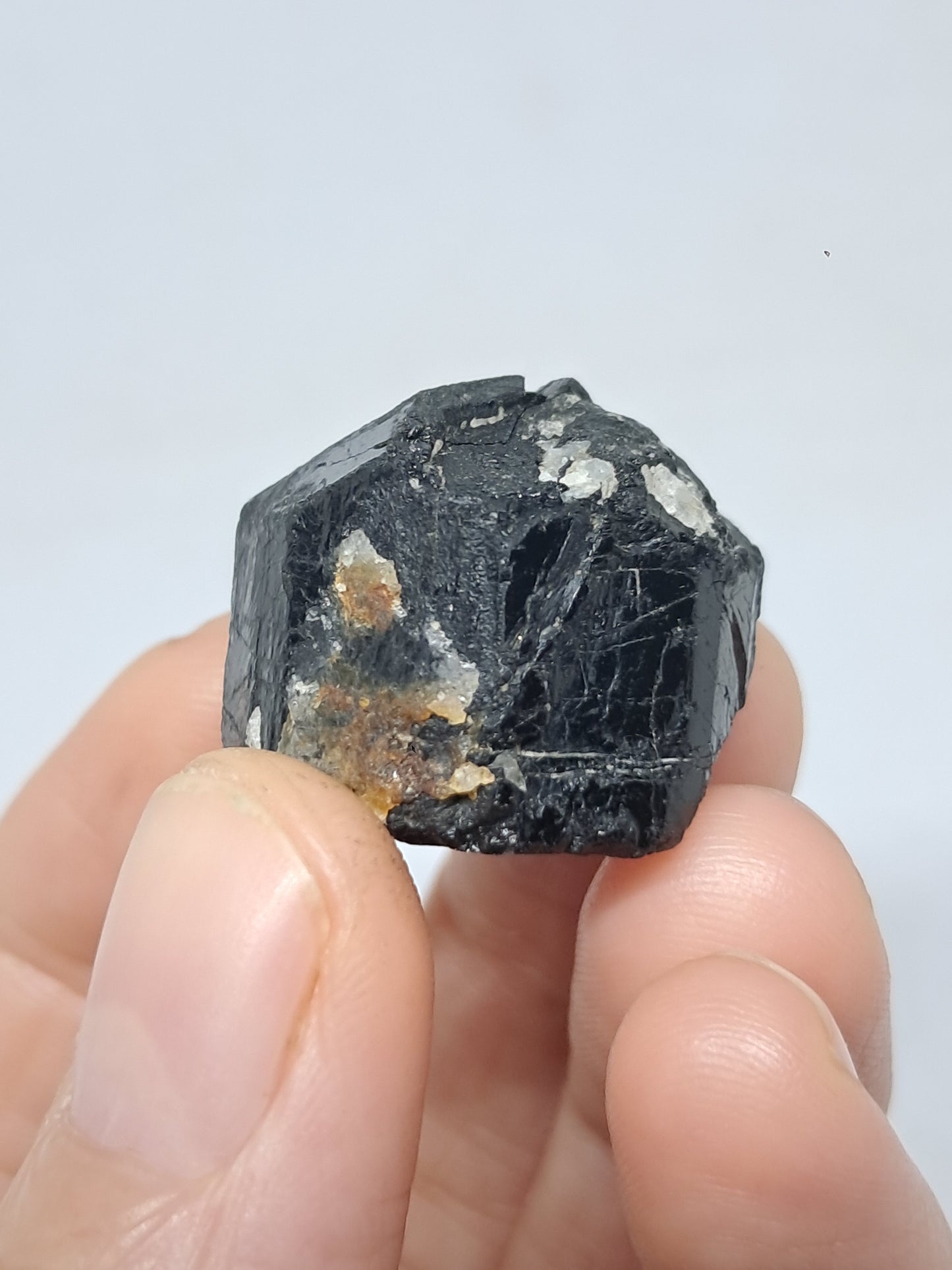 Black Tourmaline Crystal (Karnataka) Naturally Terminated | Natural Stone | Mineral Specimen #BT8