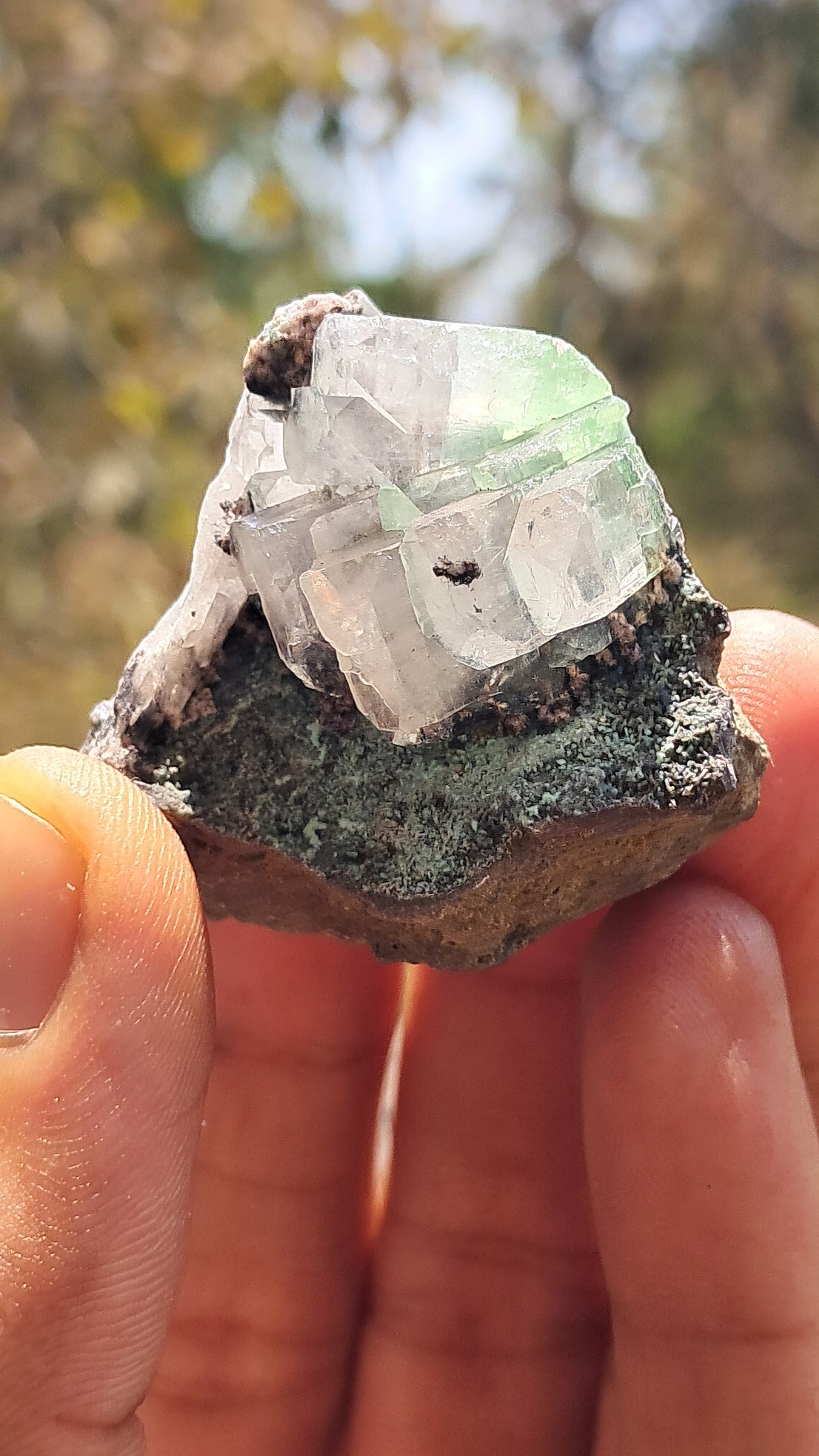 Apofilita Verde (Fluorapofilita) en Matriz (Ajanta) Cristal Natural | Muestra Mineral #GA21