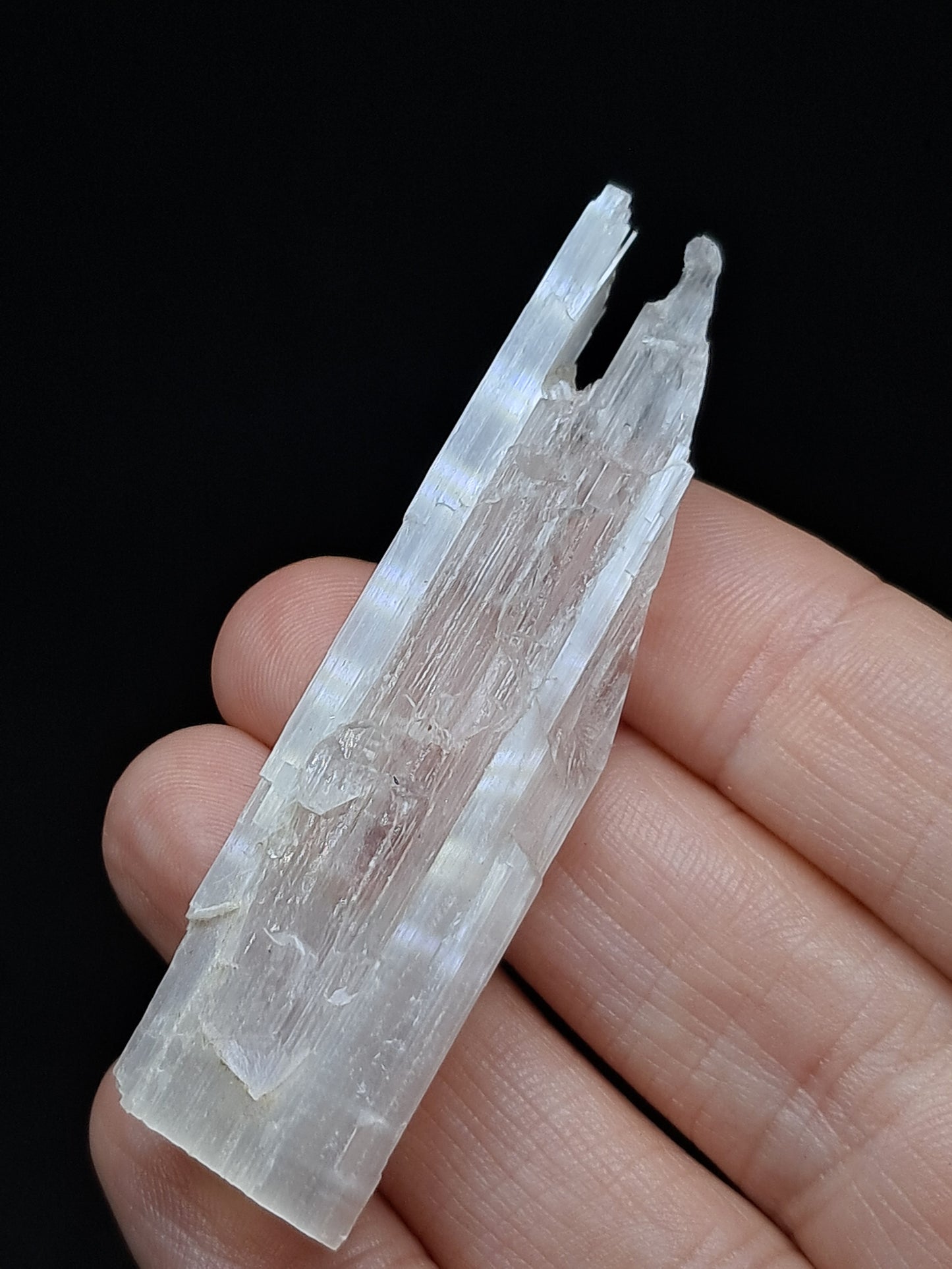 Satin Spar *Selenite* (India) Fibrous Gypsum | Mineral Specimen | Rough Crystal #SE5