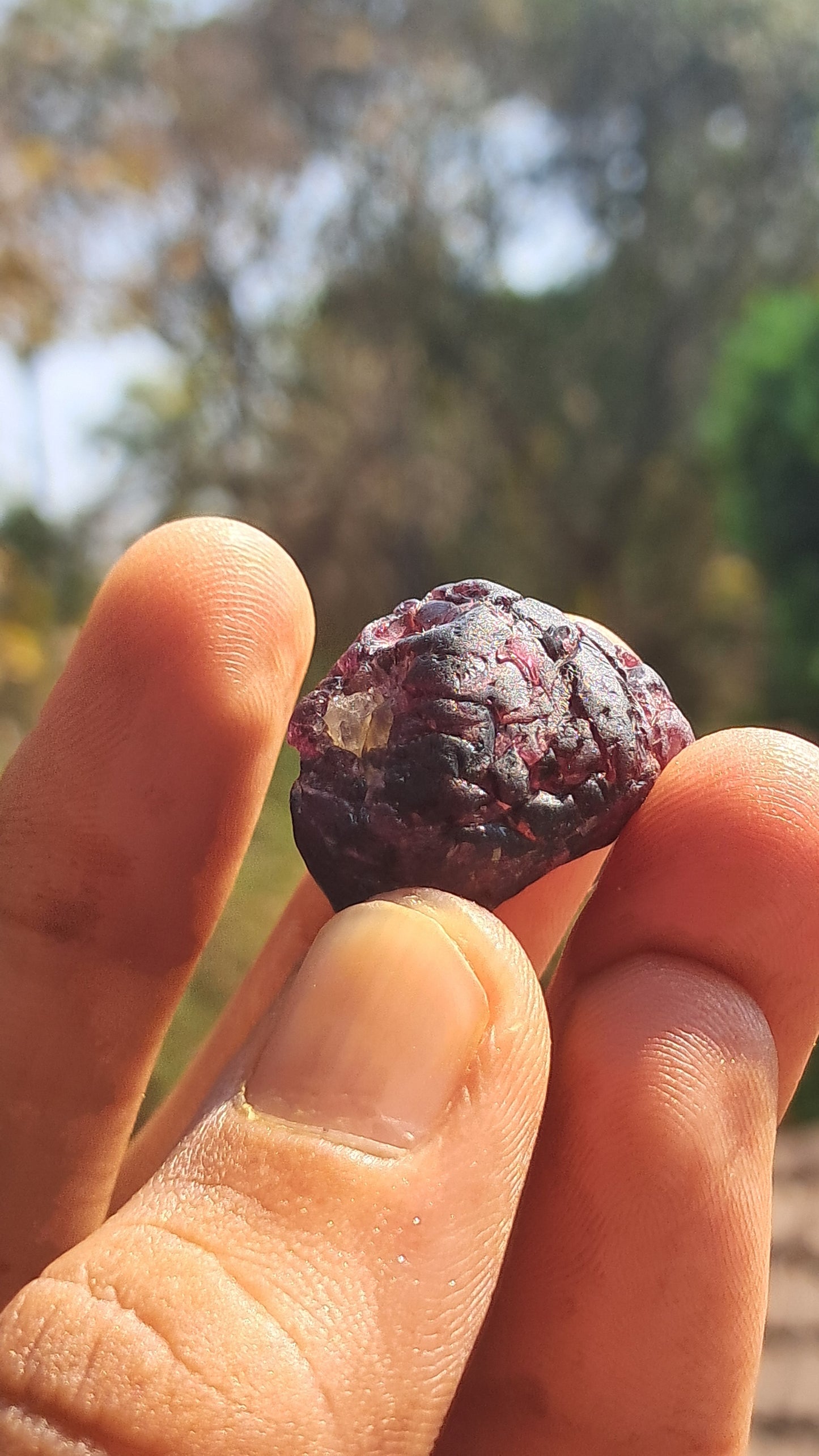 Red Garnet (Karur) | River worn | Natural Stone #RG1