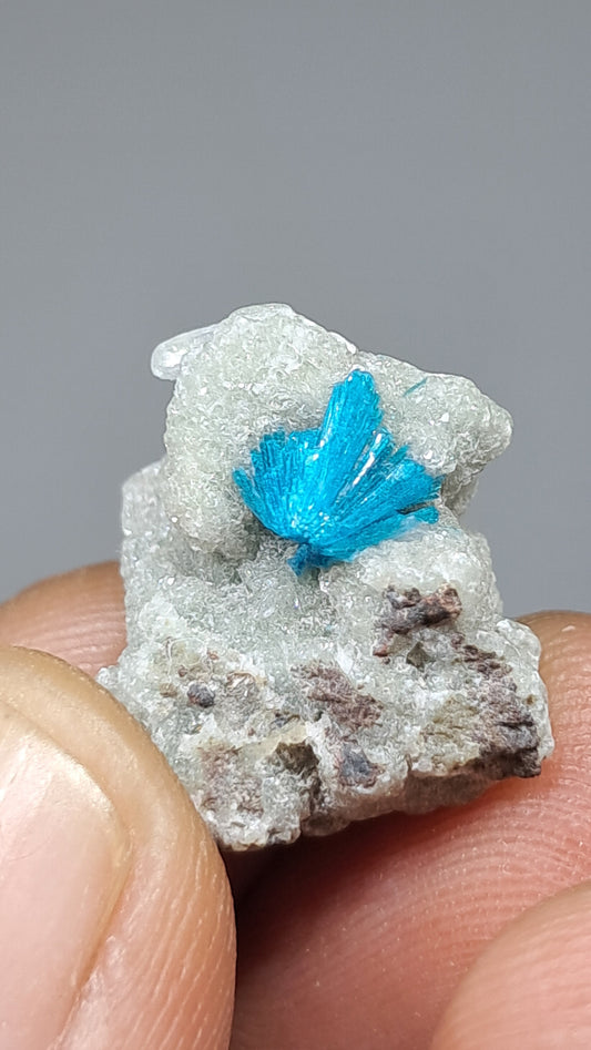 Cristal en bruto de Cavansita y Estilbita sobre matriz de Heulandita (Wagholi) | Piedra natural | Espécimen mineral raro #CV68