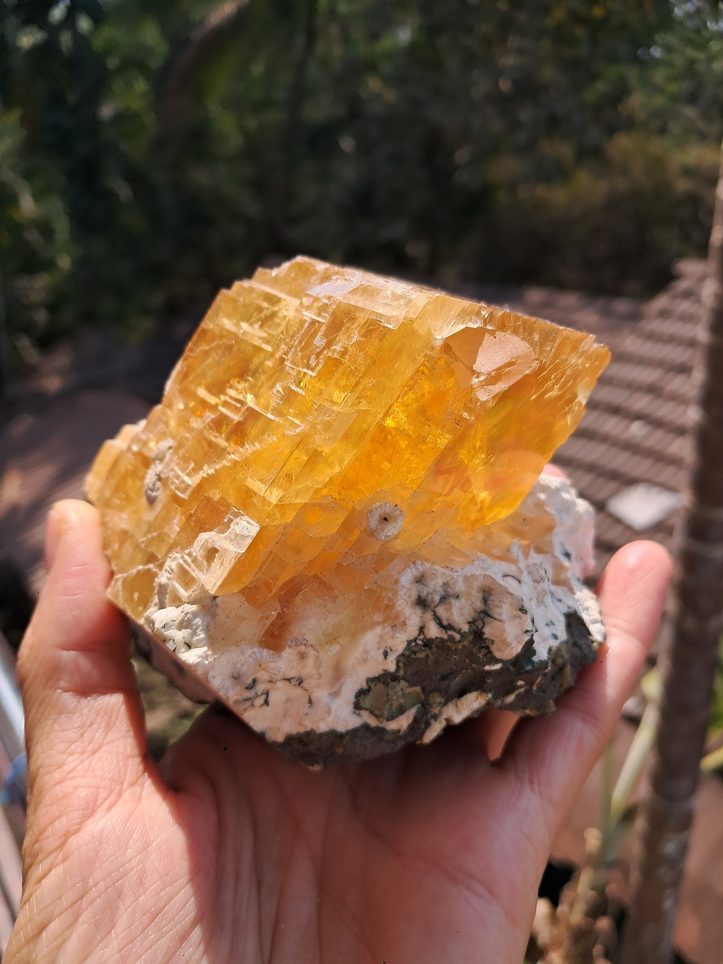 Calcita miel con okenita (India), cristal L en bruto | Piedra natural | Ejemplar mineral n.° CA28