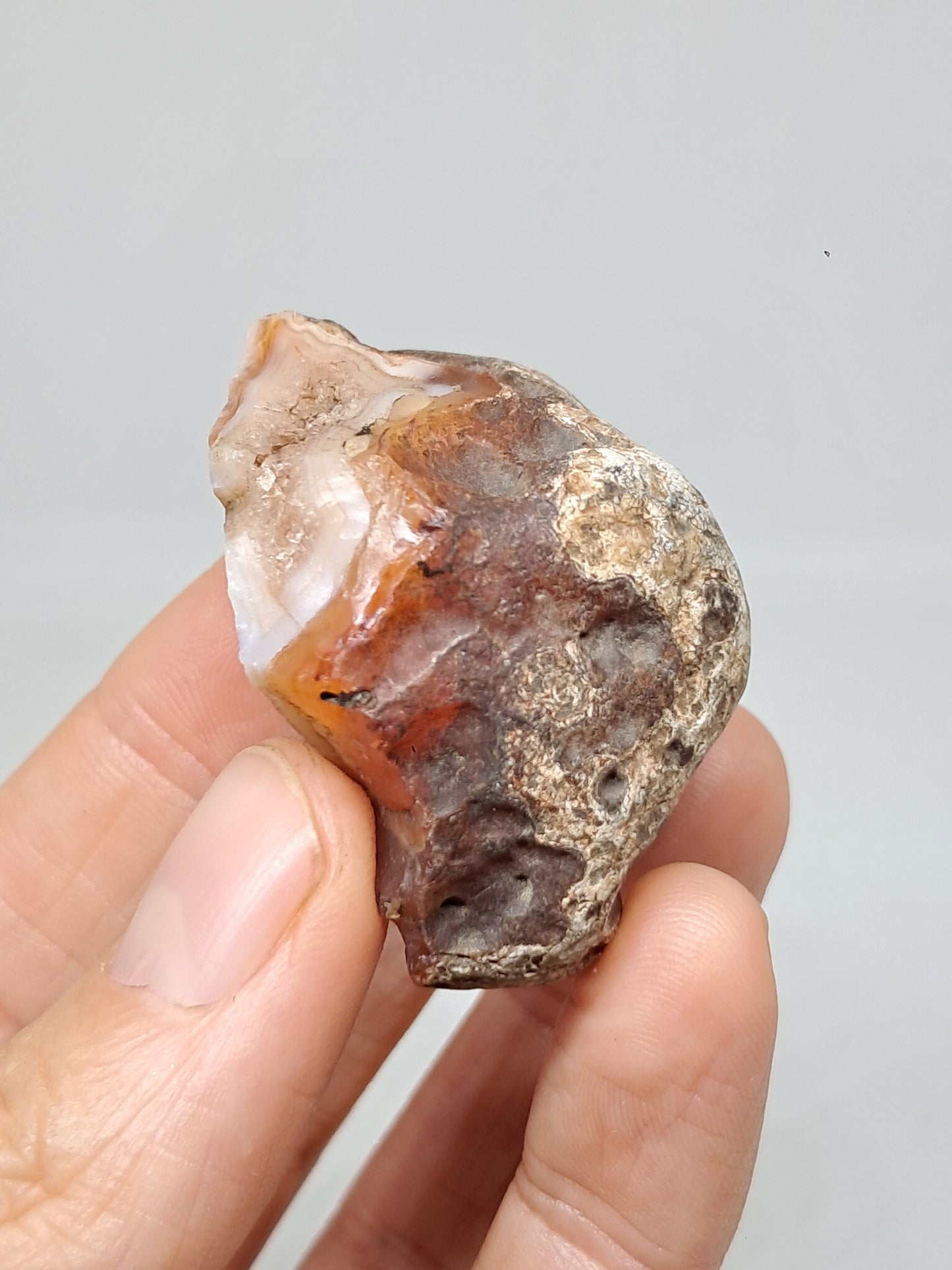 Rough Carnelian (India) Raw Stone | Natural Crystal | Mineral Specimen #CRN17