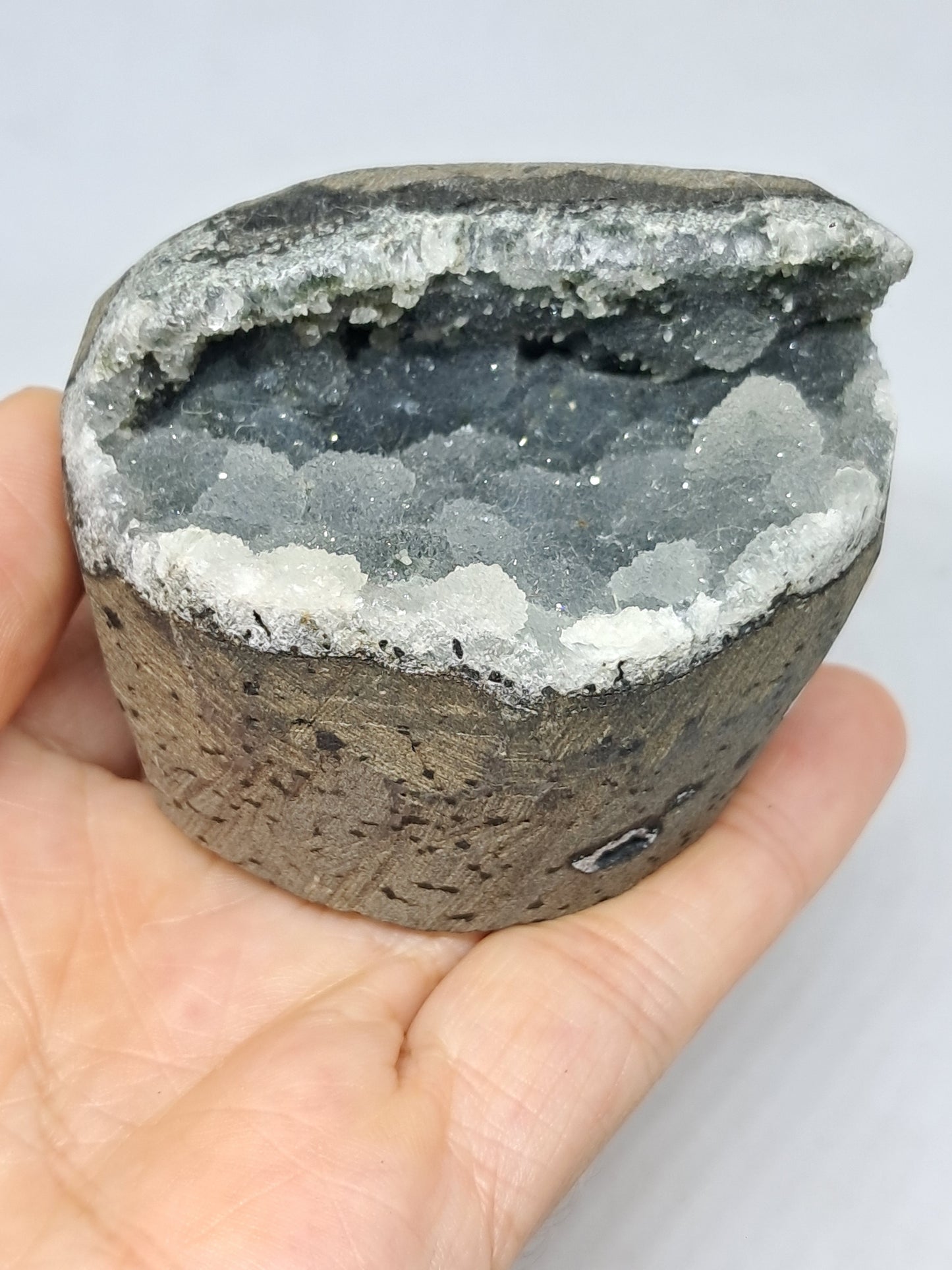Botryoidal Black Chalcedony in Basalt Geode #BC9