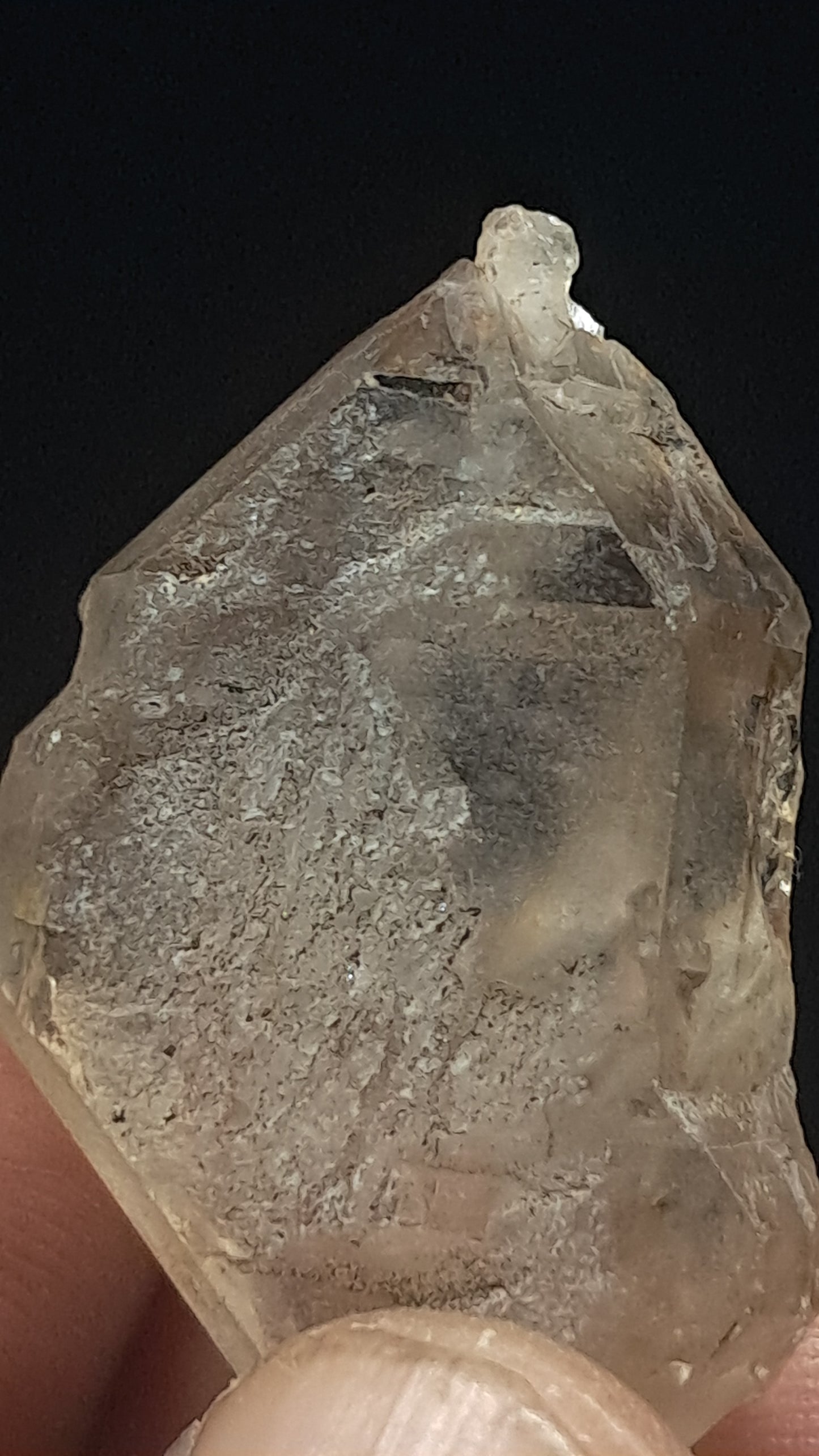 Elestial Smokey Quartz Scepter (Karur) Raw Natural Crystal | Mineral Specimen #EQ22