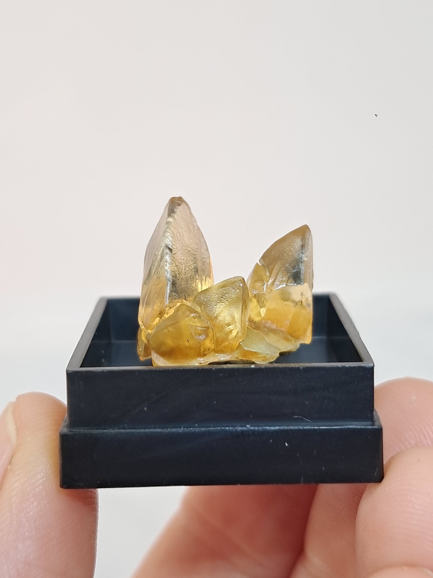 'Dog Tooth' Yellow Honey Calcite (Ahmednagar) UV Reactive Natural Crystal | Mineral Specimen #CA21