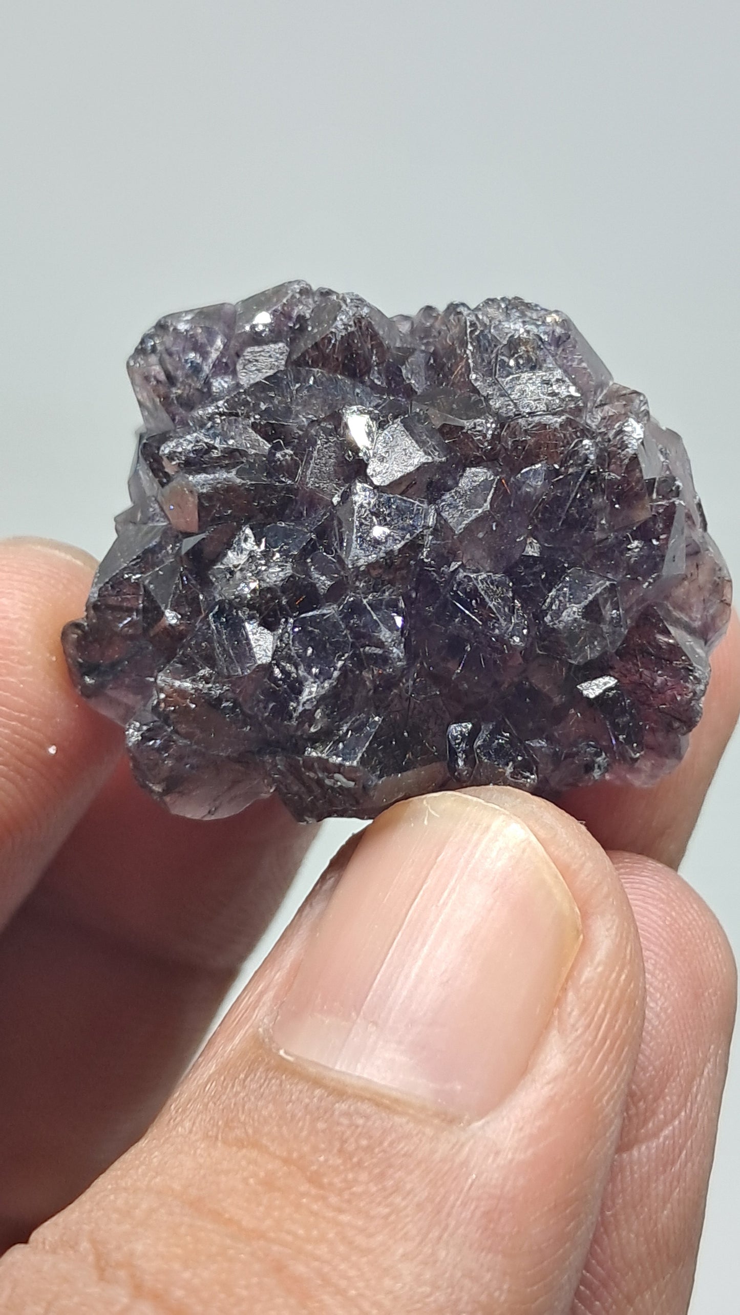 Amatista Elestial Morada Oscura sobre Cuarzo | Inclusiones de Hematita Goethita Rutilo | Cristal Natural | Muestra Mineral #KA194