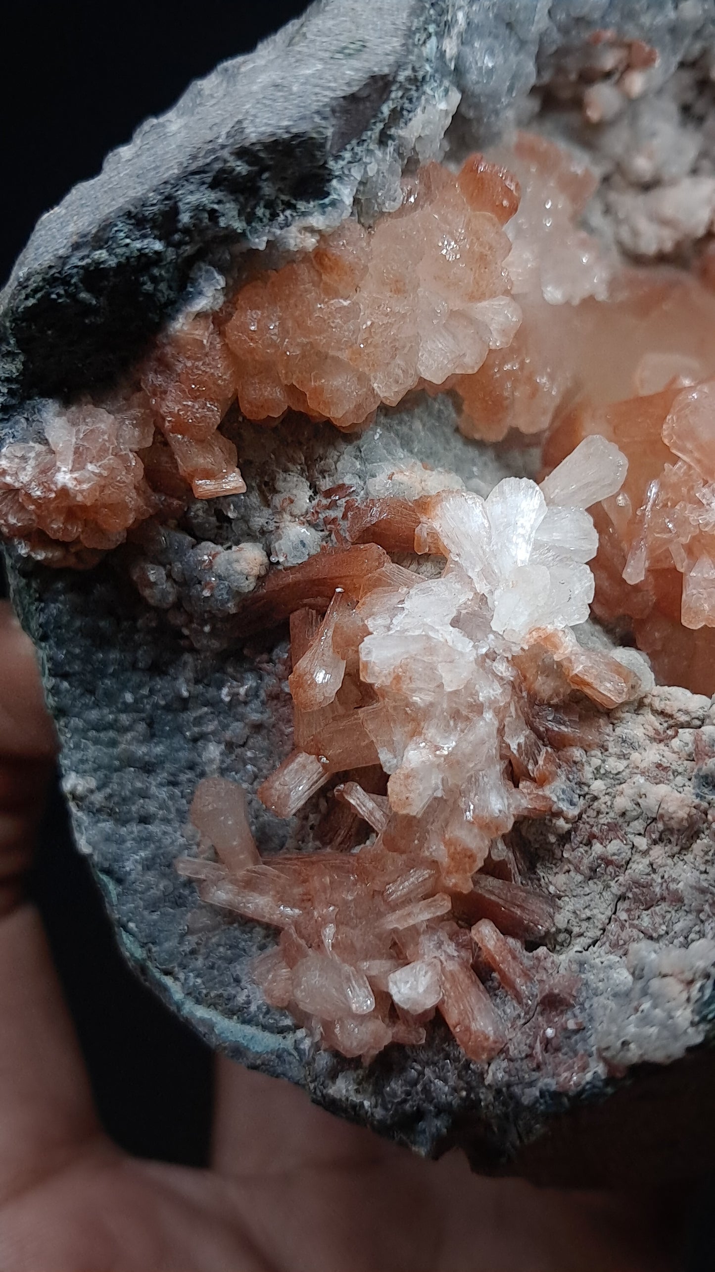 Peach Stilbite-Ca In Basalt (Ajanta) | Large Bow, Fan & Sheaf Crystal Aggregates | Self-standing #ZL29