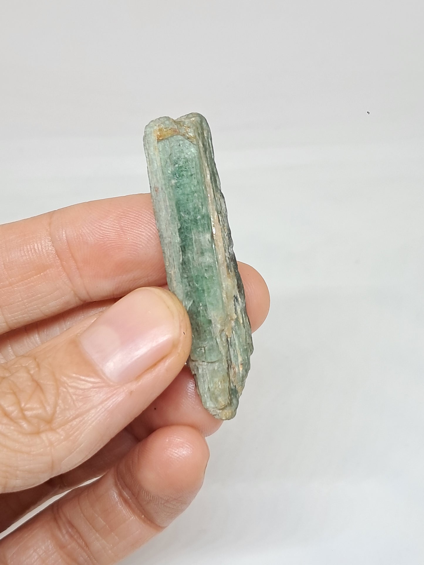 Green Kyanite (Tamil Nadu) Natural Stone #KY7