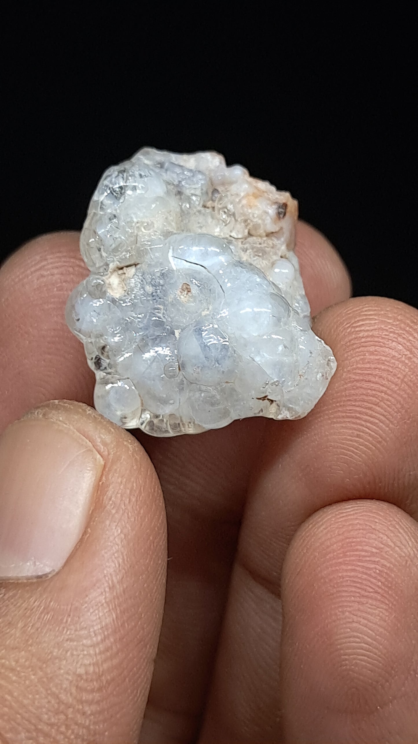 Hyalite Opal on Matrix (Mexico) Rough Crystal Stone | UV-Reactive Mineral Specimen #OH3