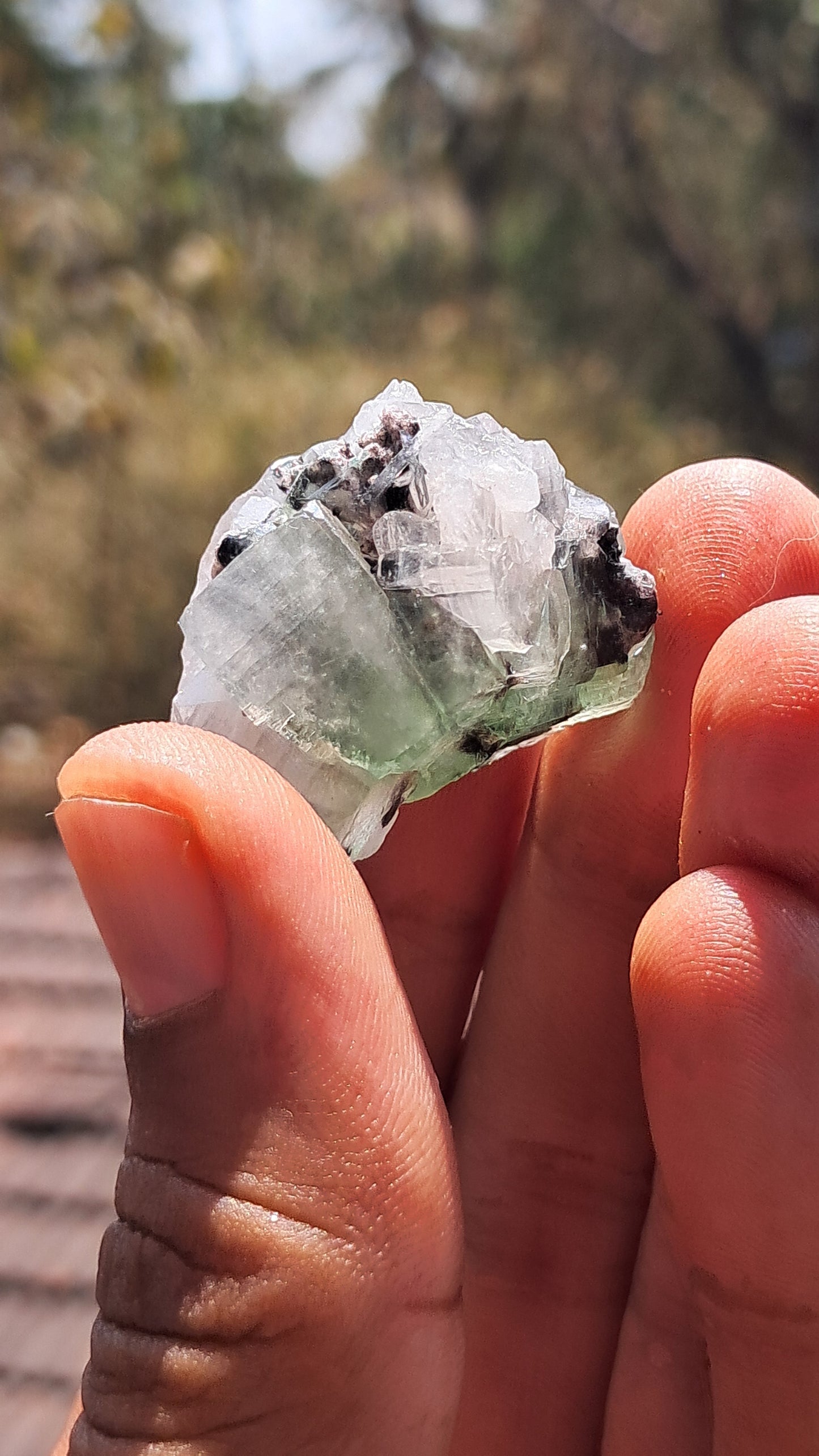 Green Apophyllite (Fluorapophyllite) (Ajanta) Natural Crystal | Mineral Specimen #GA28