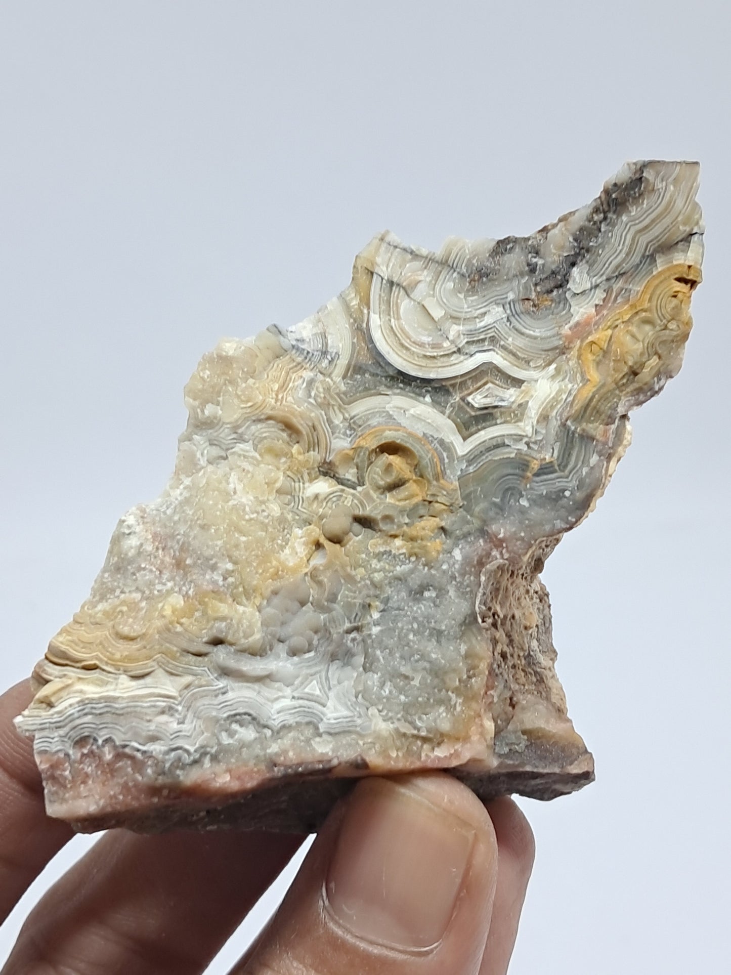 Crazy Lace Agate Rough | Natural Stone | Mineral Specimen #CLA4