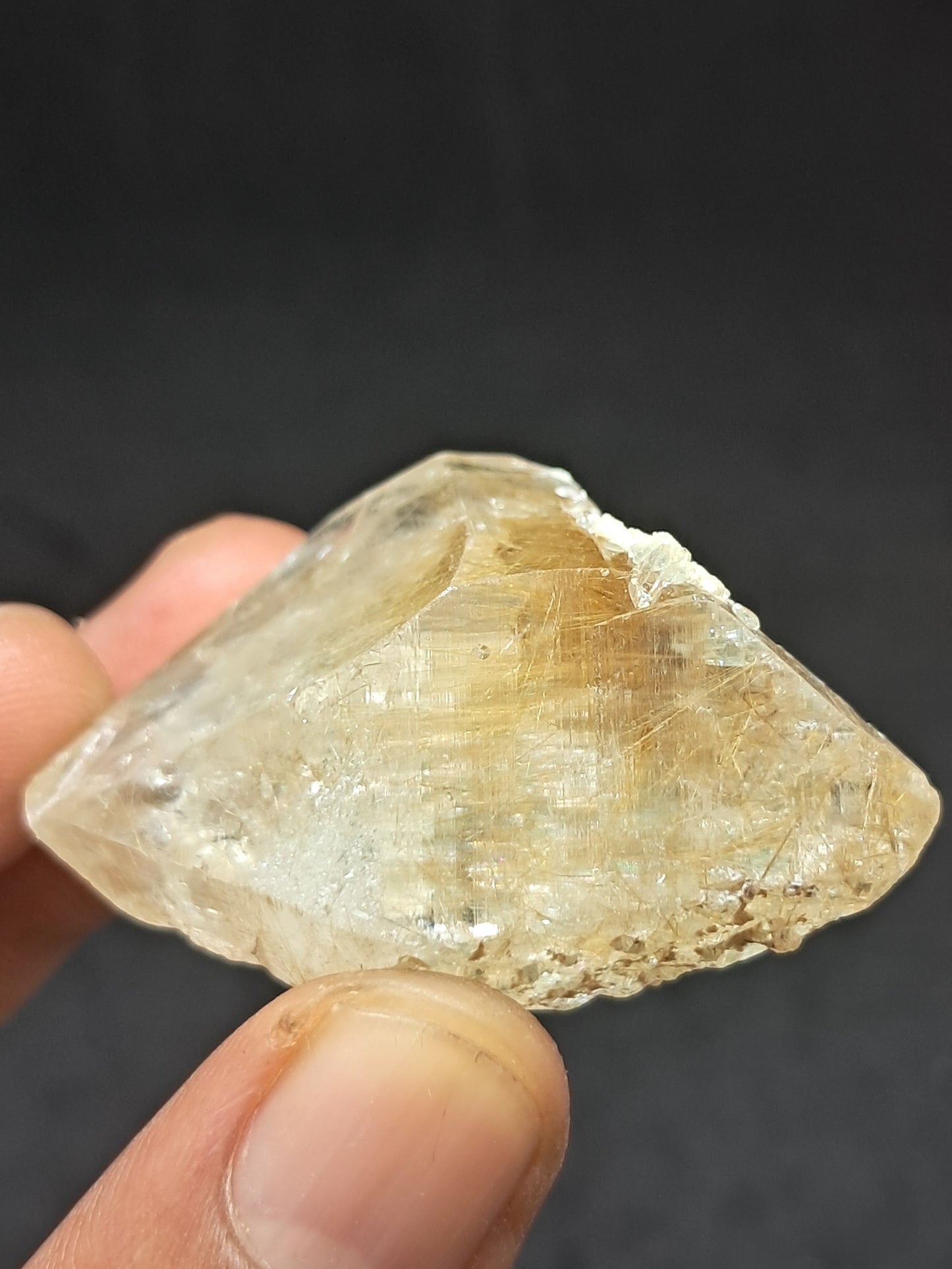 Himalayan Quartz w/ Golden Rutile and Chlorite (Himachal Pradesh) Self-healed |  Natural Crystal #CH60