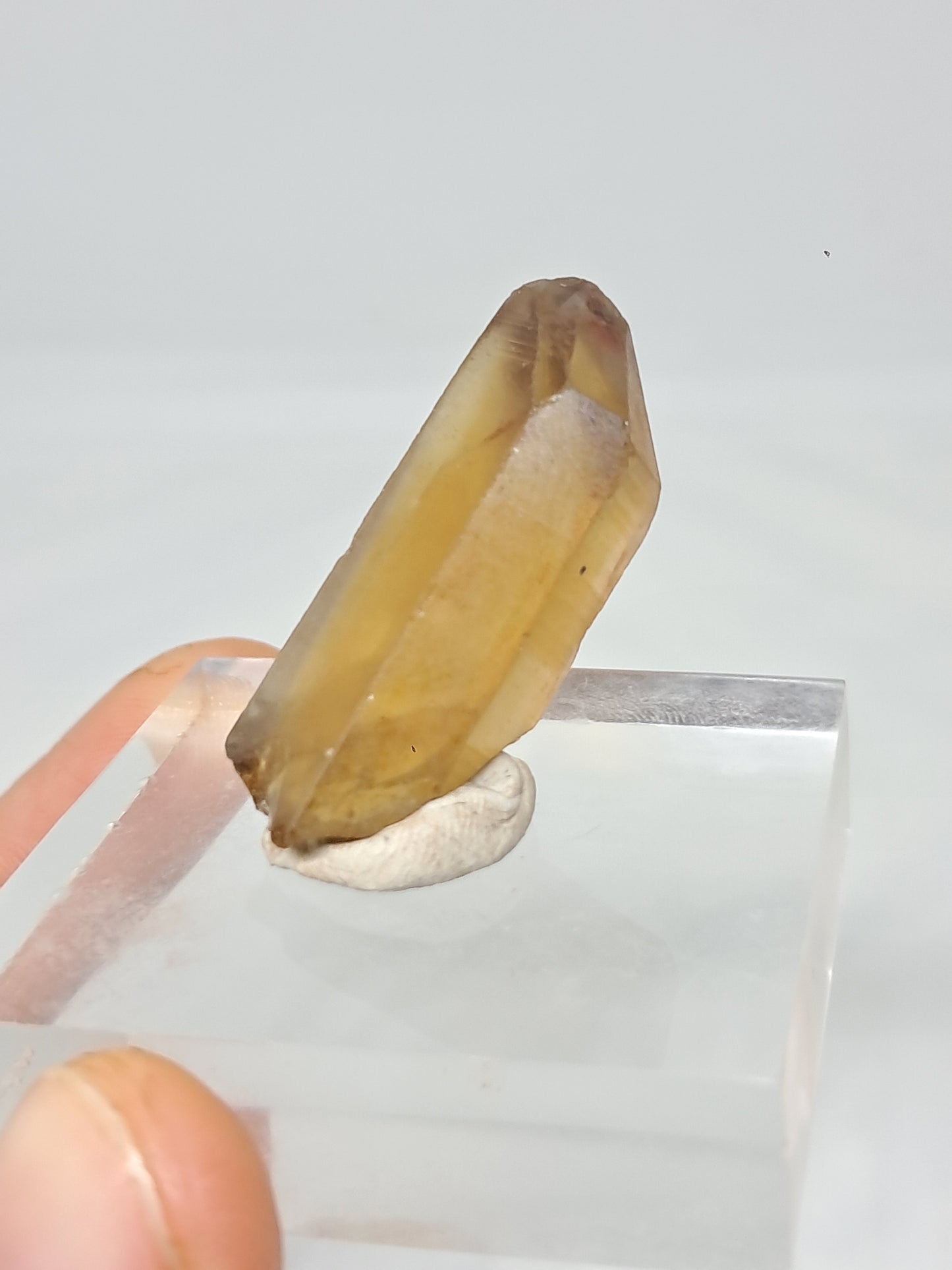 Natural Citrine Crystal Point (Democratic Republic of Congo) #CTN31