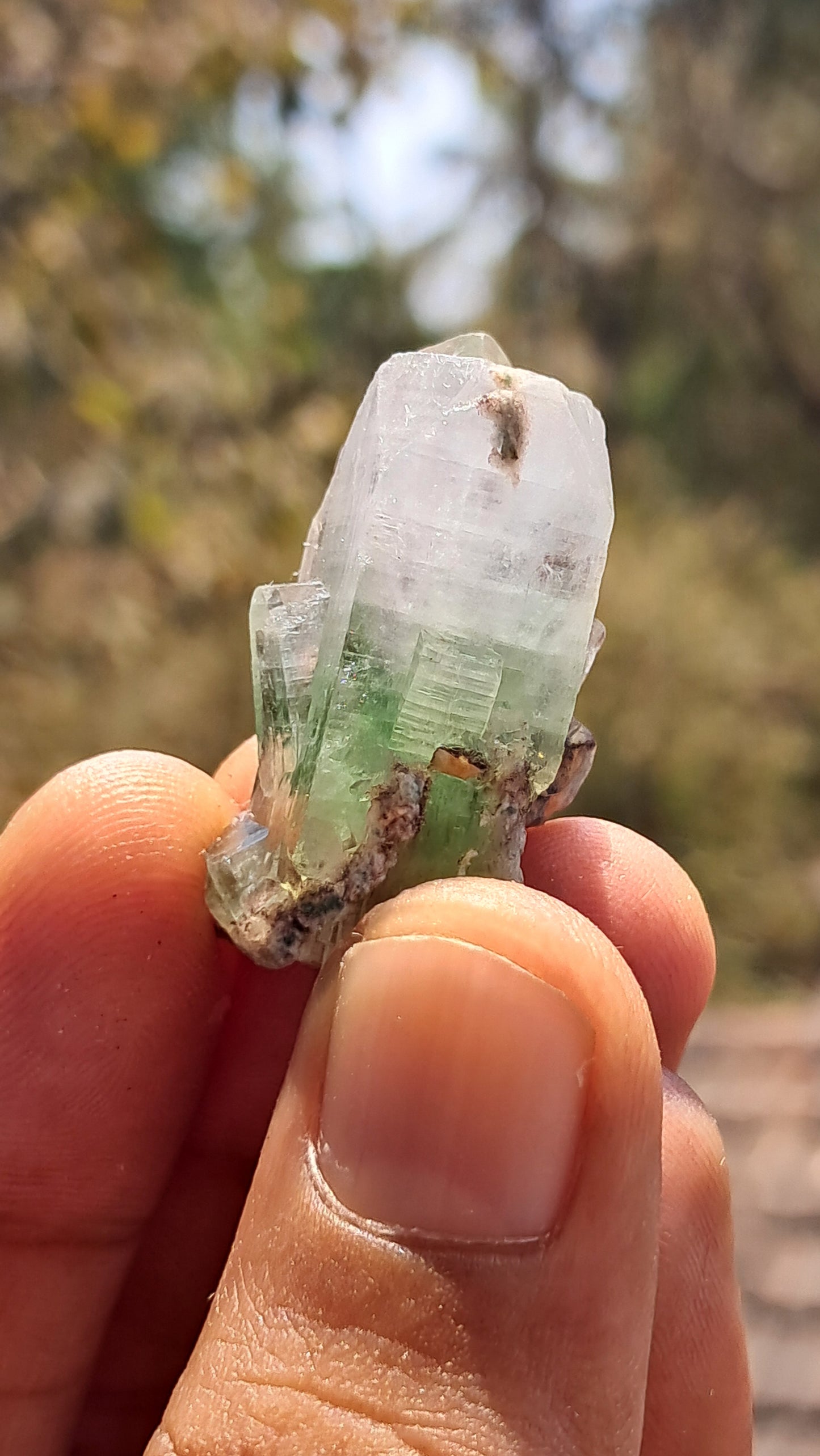 Green Apophyllite (Fluorapophyllite) on Matrix (Ajanta) Natural Crystal | Mineral Specimen #GA27