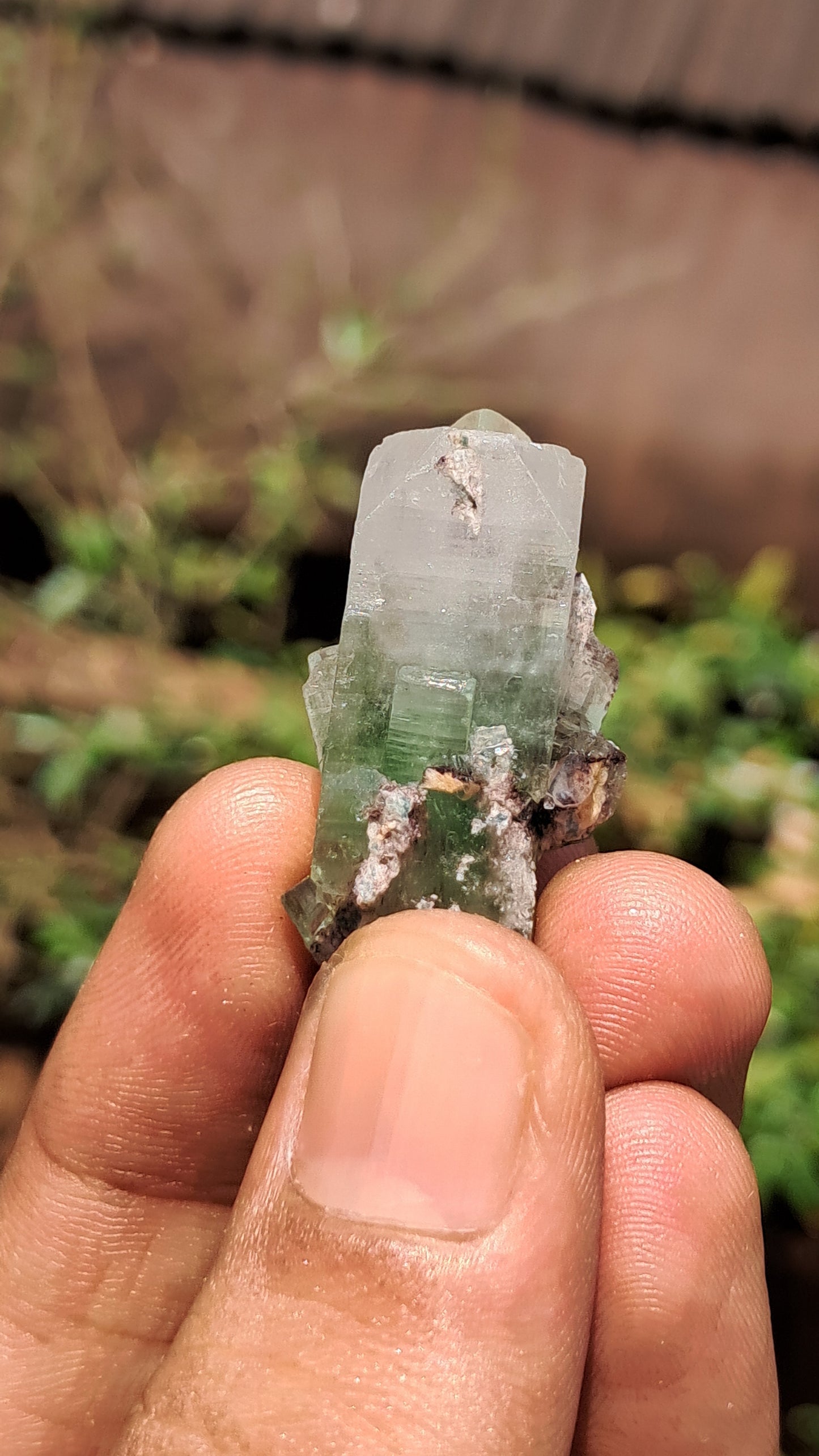 Green Apophyllite (Fluorapophyllite) on Matrix (Ajanta) Natural Crystal | Mineral Specimen #GA27